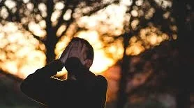 Hvorfor er noen redd hunder?