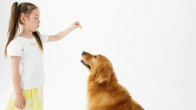 Hund og barn