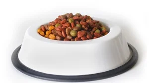 Foring og miljøberikelse