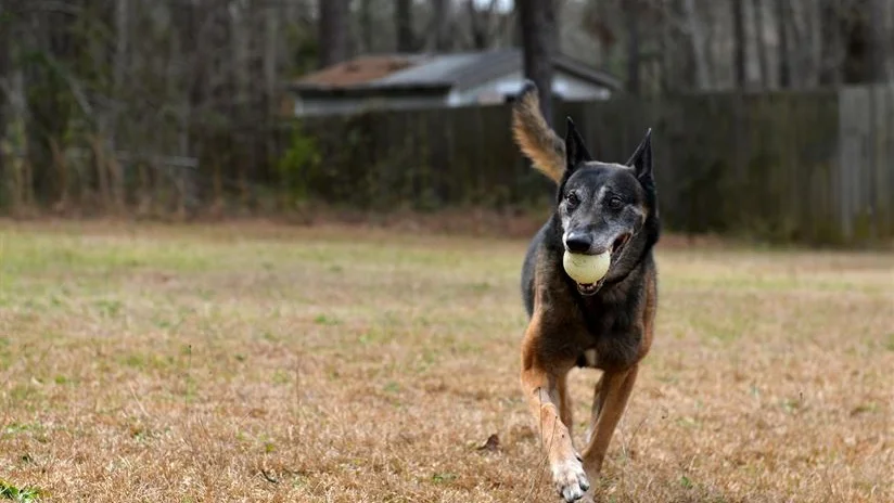 Hypotyriodisme og atferdsproblemer