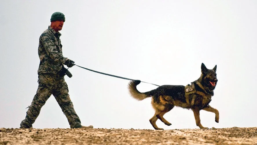 Gå først ut av døren, spise først og sove i sengen - har det noe å si?