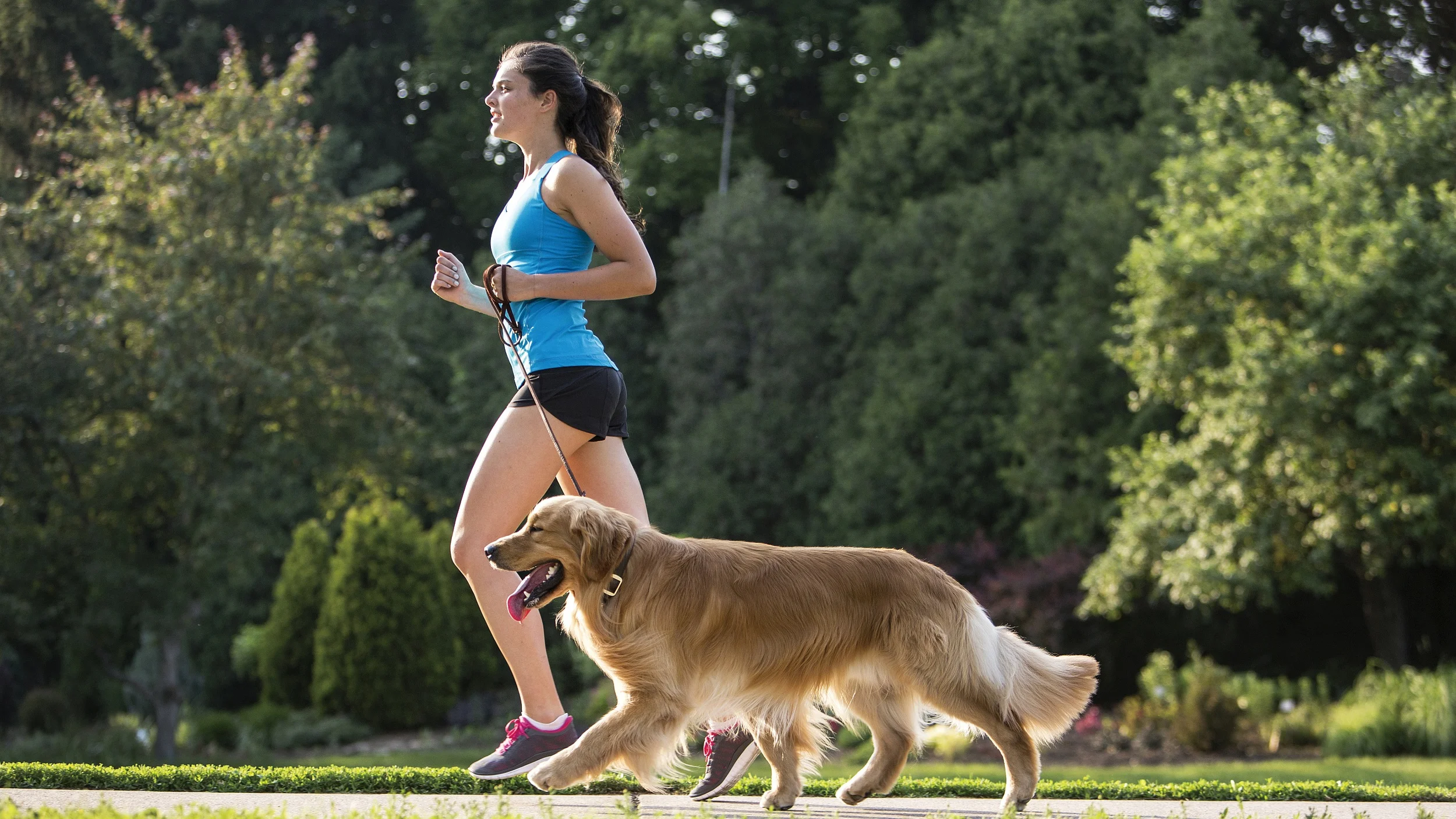 Aktivisering – et nyttig tiltak i behandling av atferdsproblemer?