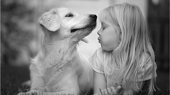 Hva gjør jeg om hunden har et atferdsproblem?