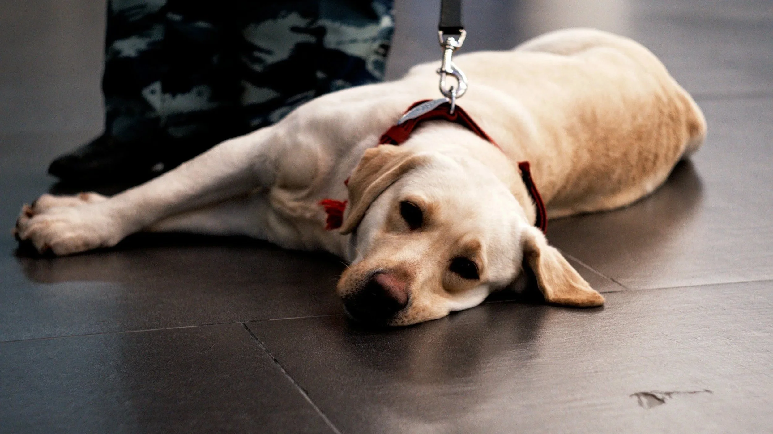 Hvorfor jeg ikke baserer sakkyndige vurderinger på en mentaltest alene