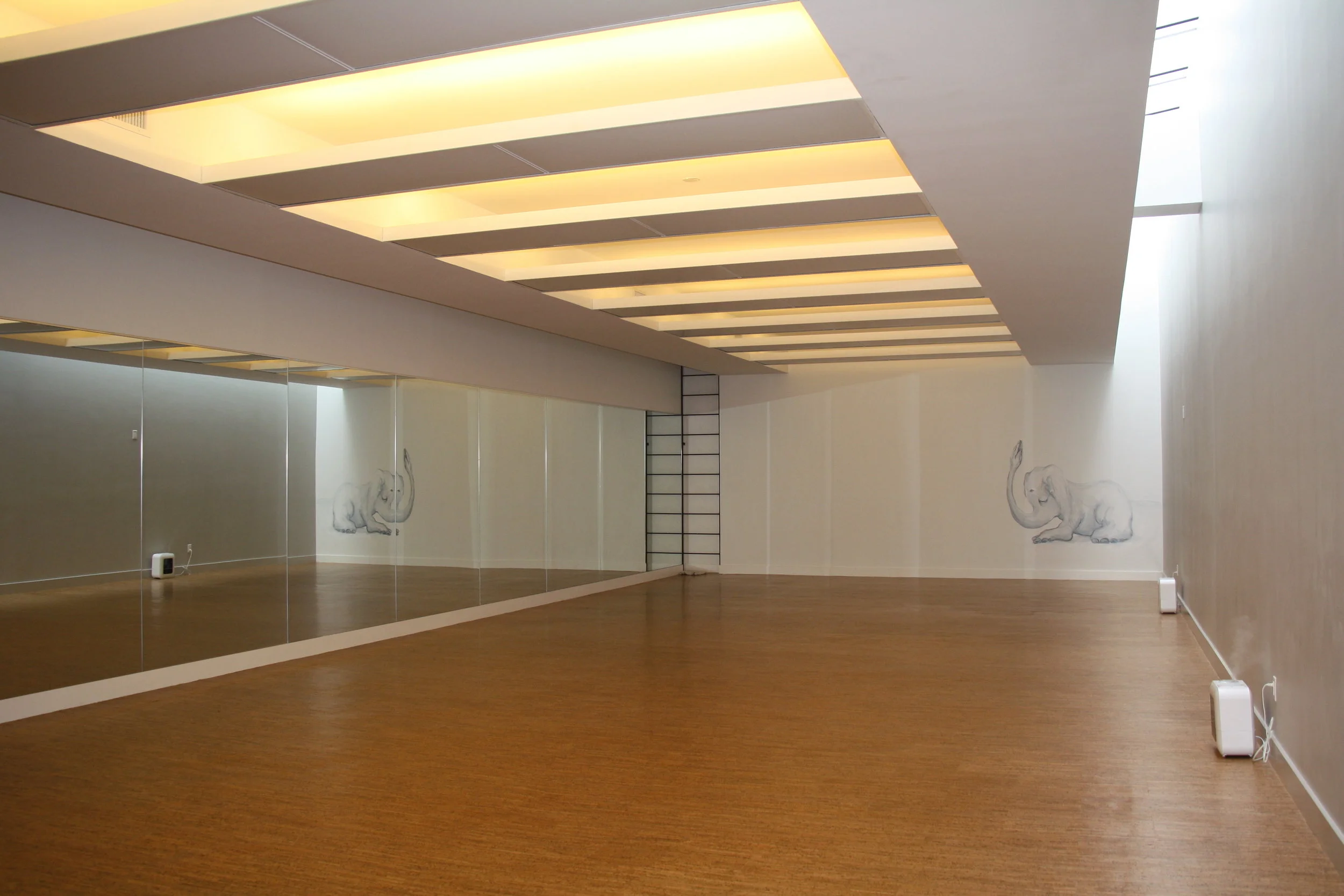 Yoga studio with portable humidifiers, large mirrors, and a mural of an elephant doing yoga at Modo Yoga, Brooklyn, New York. MEP designed by 2L Engineering.