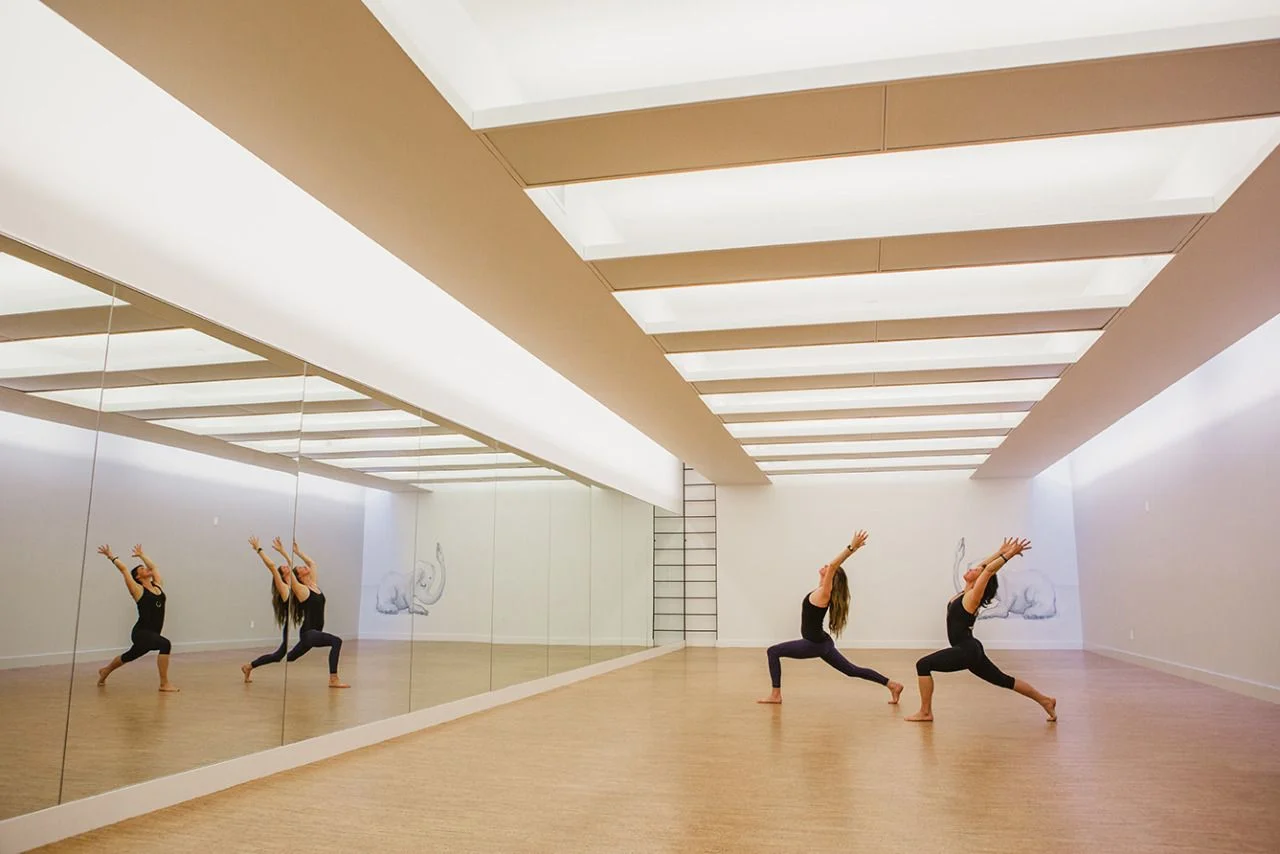 Two women dressed in black doing the warrior pose in Modo Yoga's yoga studio in Brooklyn, New York. MEP provided by 2L Engineering.