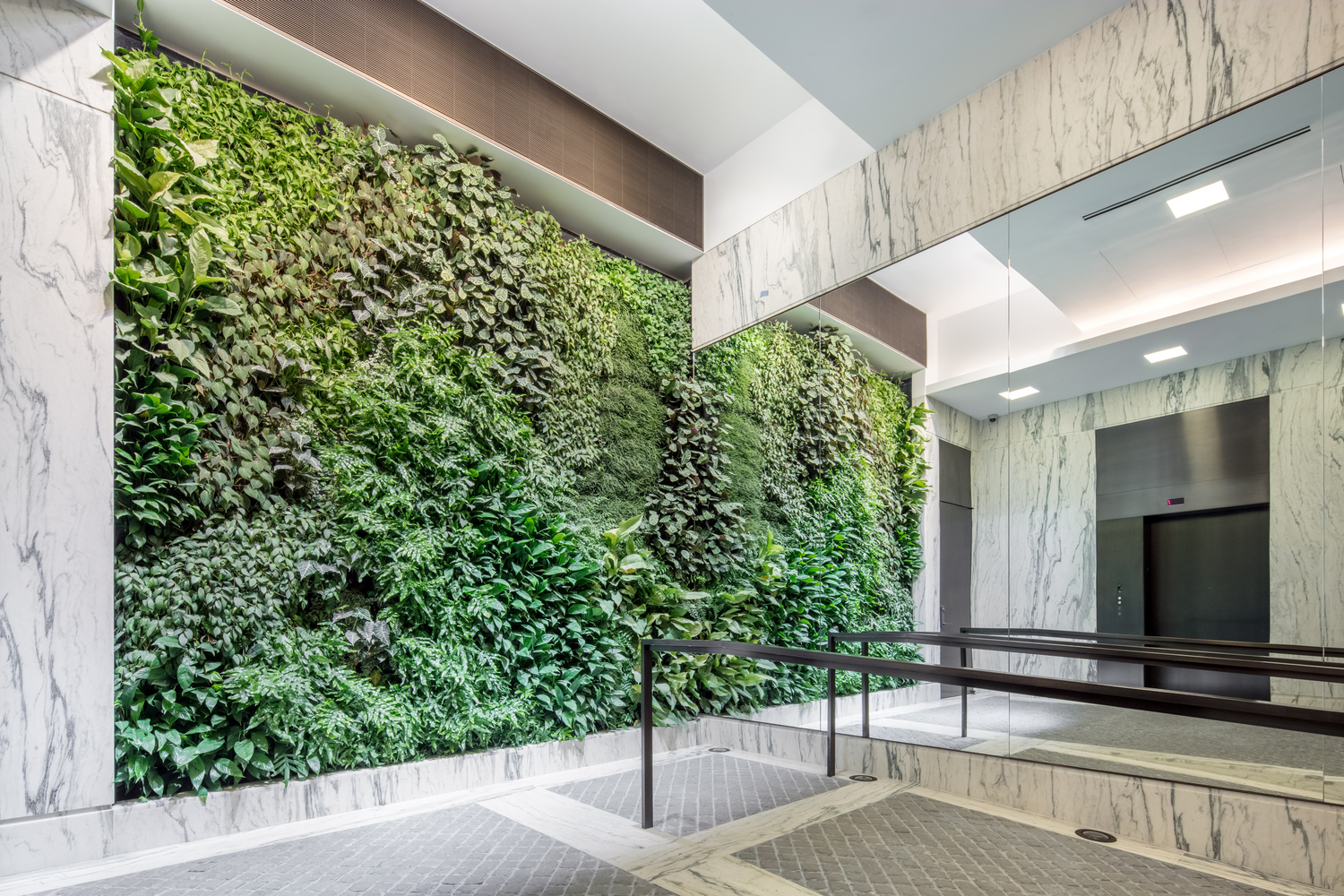 A luxury residential building's lobby area with a large living green wall beside the elevators. MEP by 2L Engineering. 
