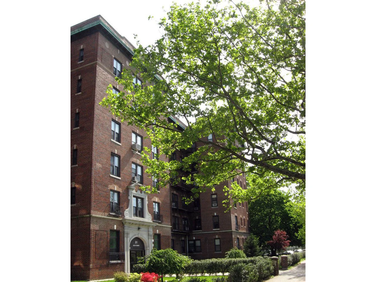 Bushes and trees surrounding a residential building in Brooklyn, New York, on a clear, sunny day. MEP provided by 2L Engineering.