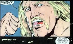 hulk vs hulk hogan.jpeg