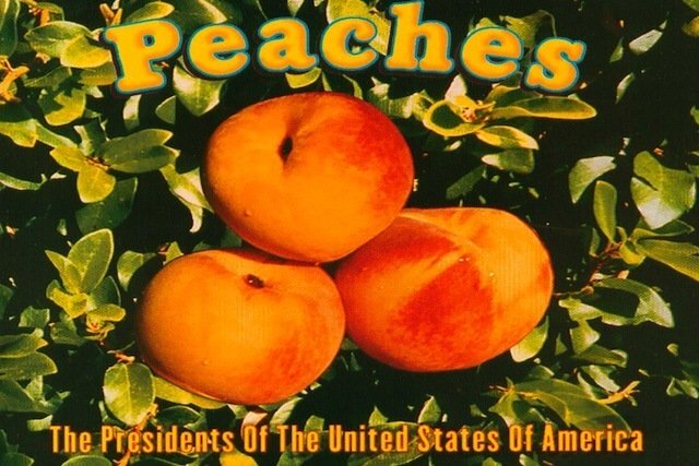 Peaches (The Presidents of the United States of America song) - Wikipedia