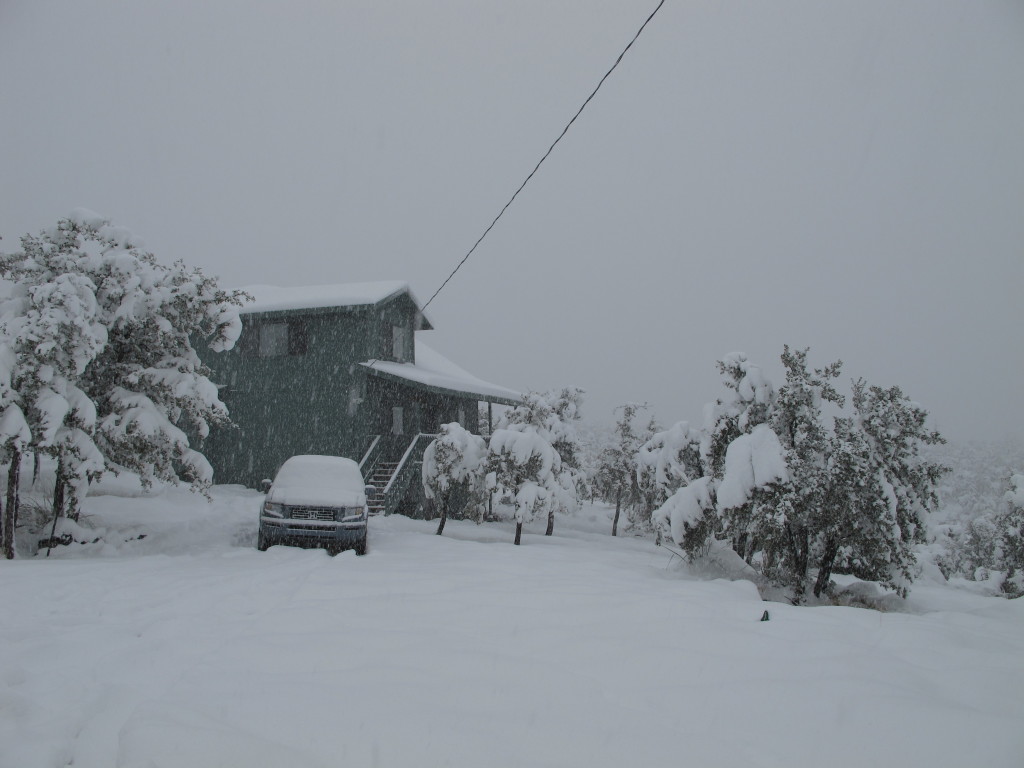 cabin 1.jpg