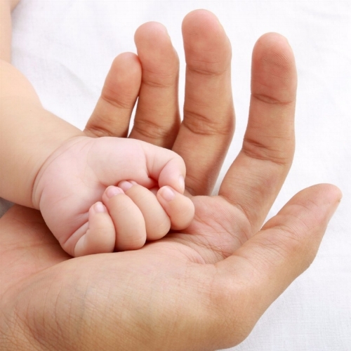 shutterstock_92143663_1024x1024_122f0eae-137a-46c9-b0ab-e233401b8b7c.jpg