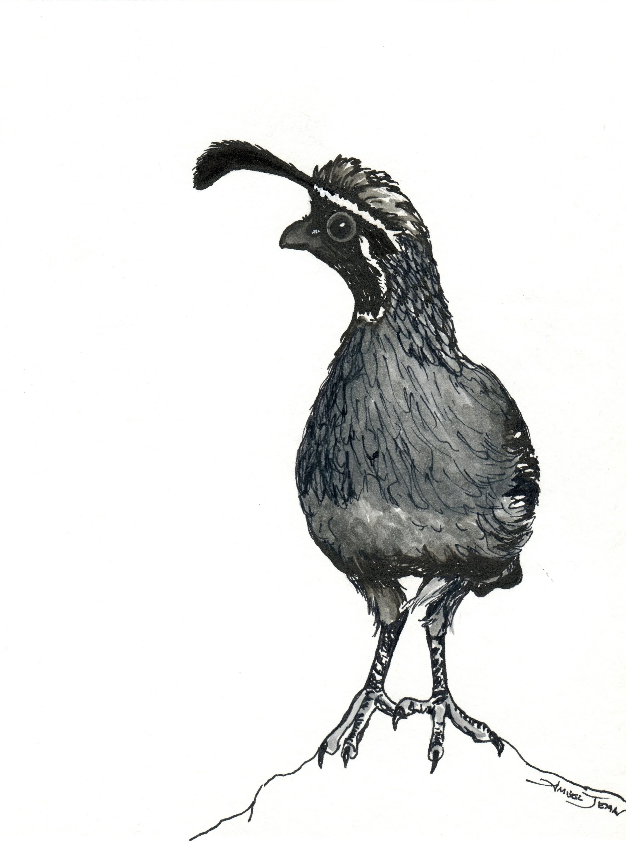 INKtober_2026_14_GoofyBird_web.jpg