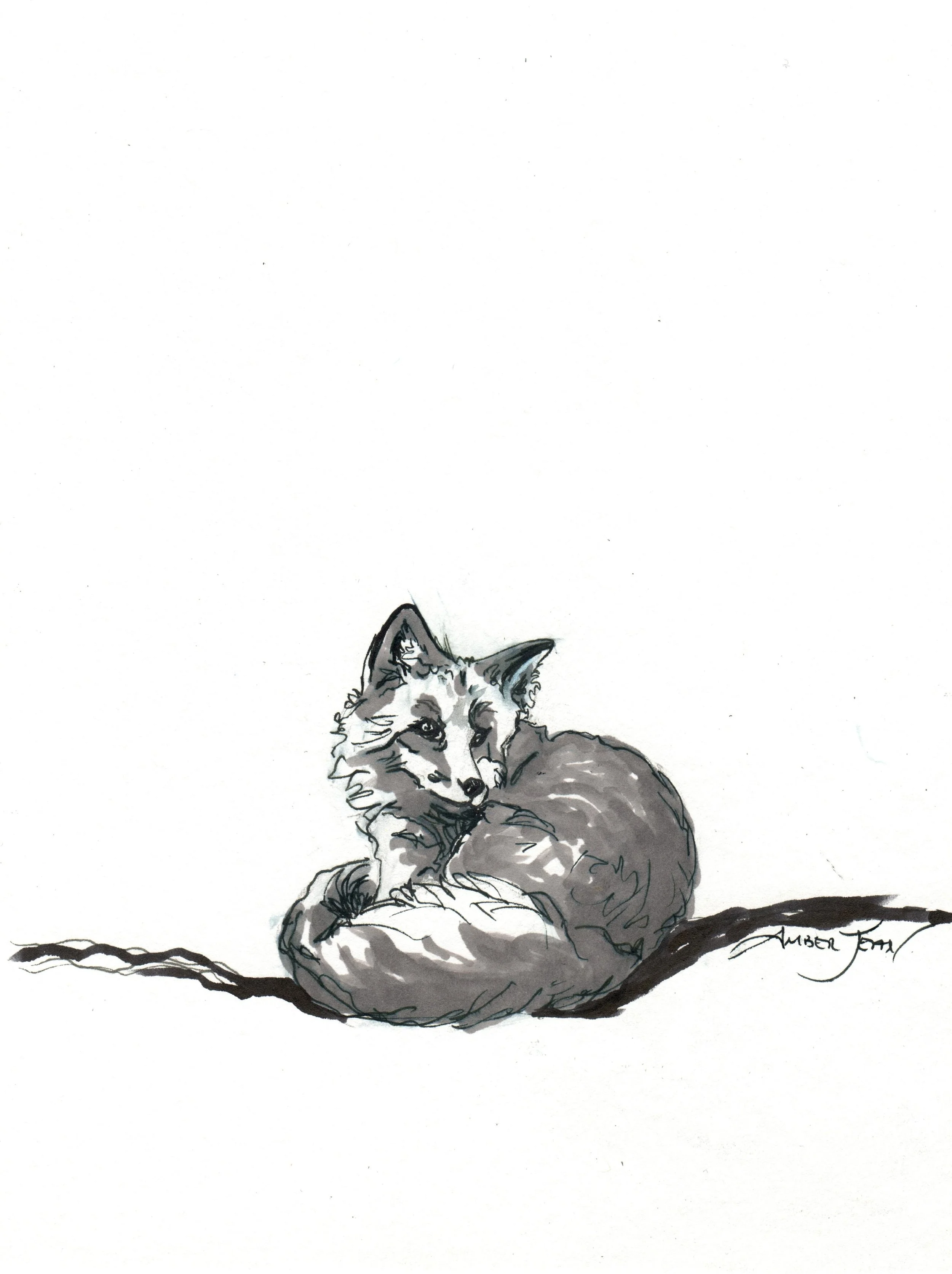INKtober_2026_13_Fox3_web.jpg