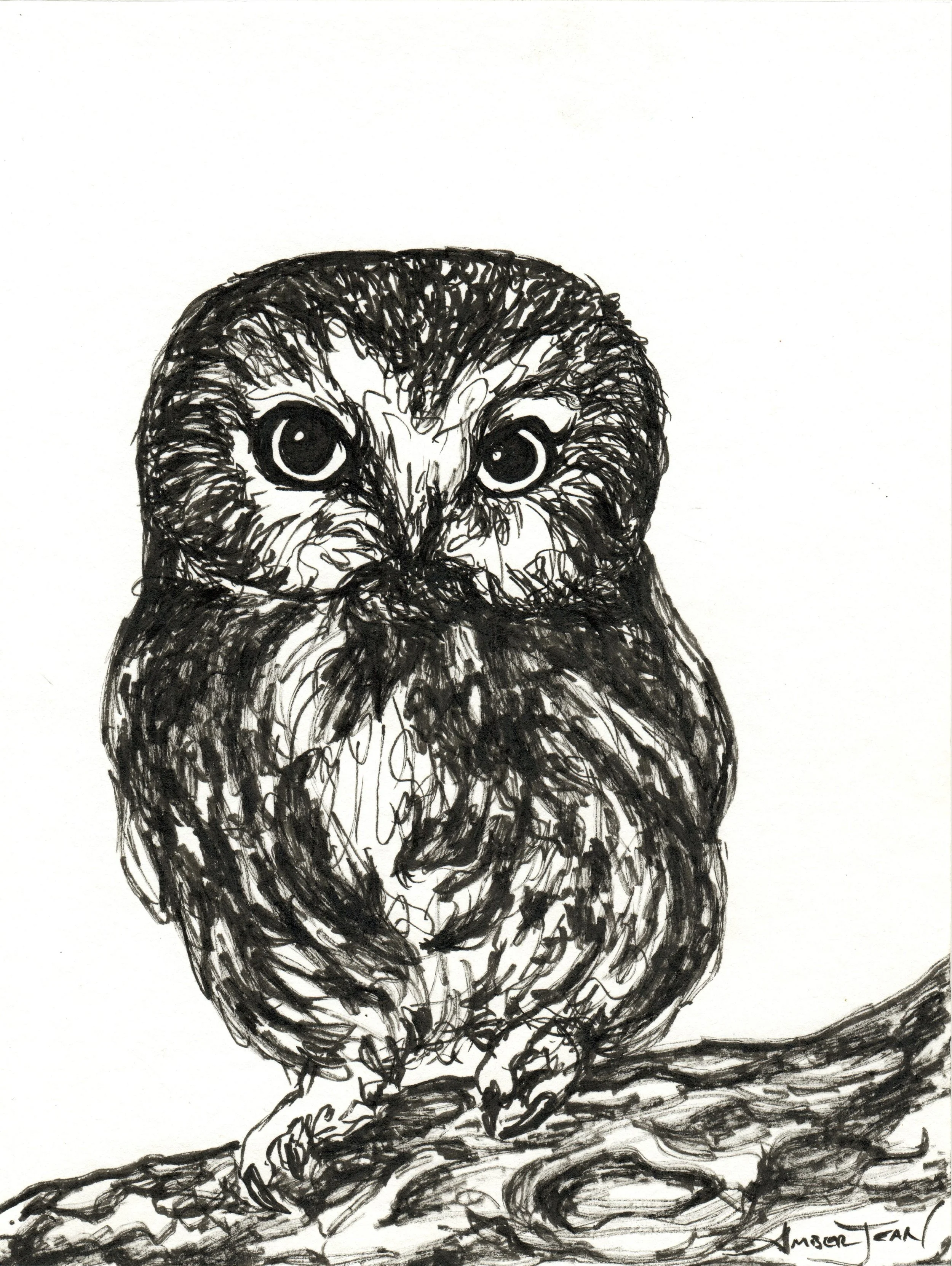 INKtober_2026_01_Owl_web.jpg
