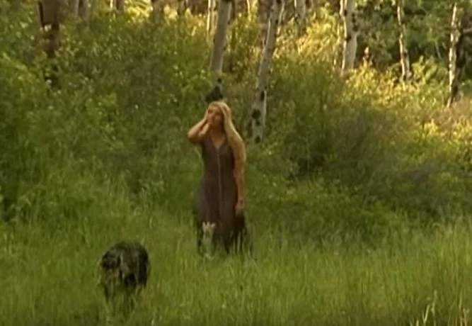 A_spirit_untamed.jpg