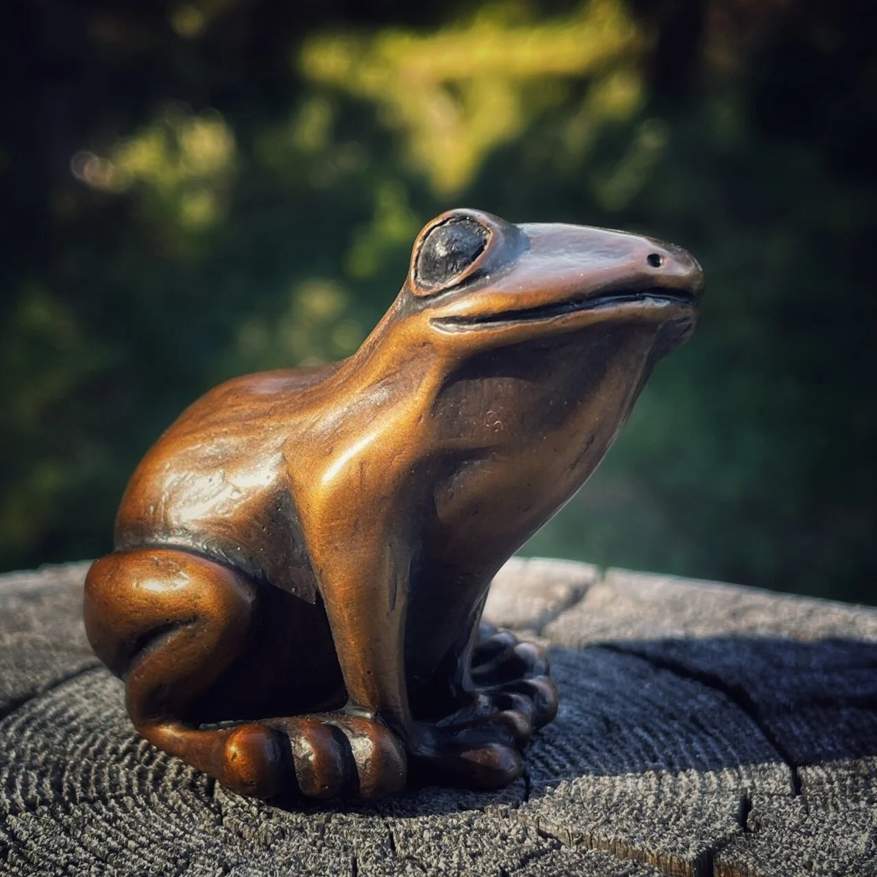 Frog 4.jpg