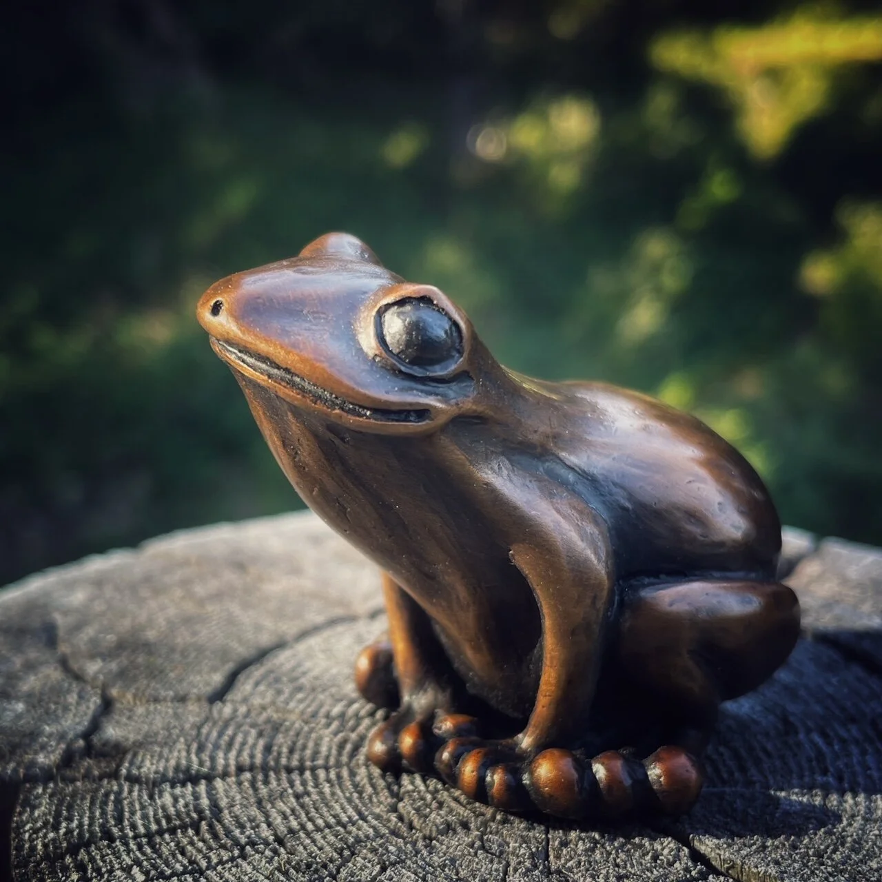 Frog 1.jpg