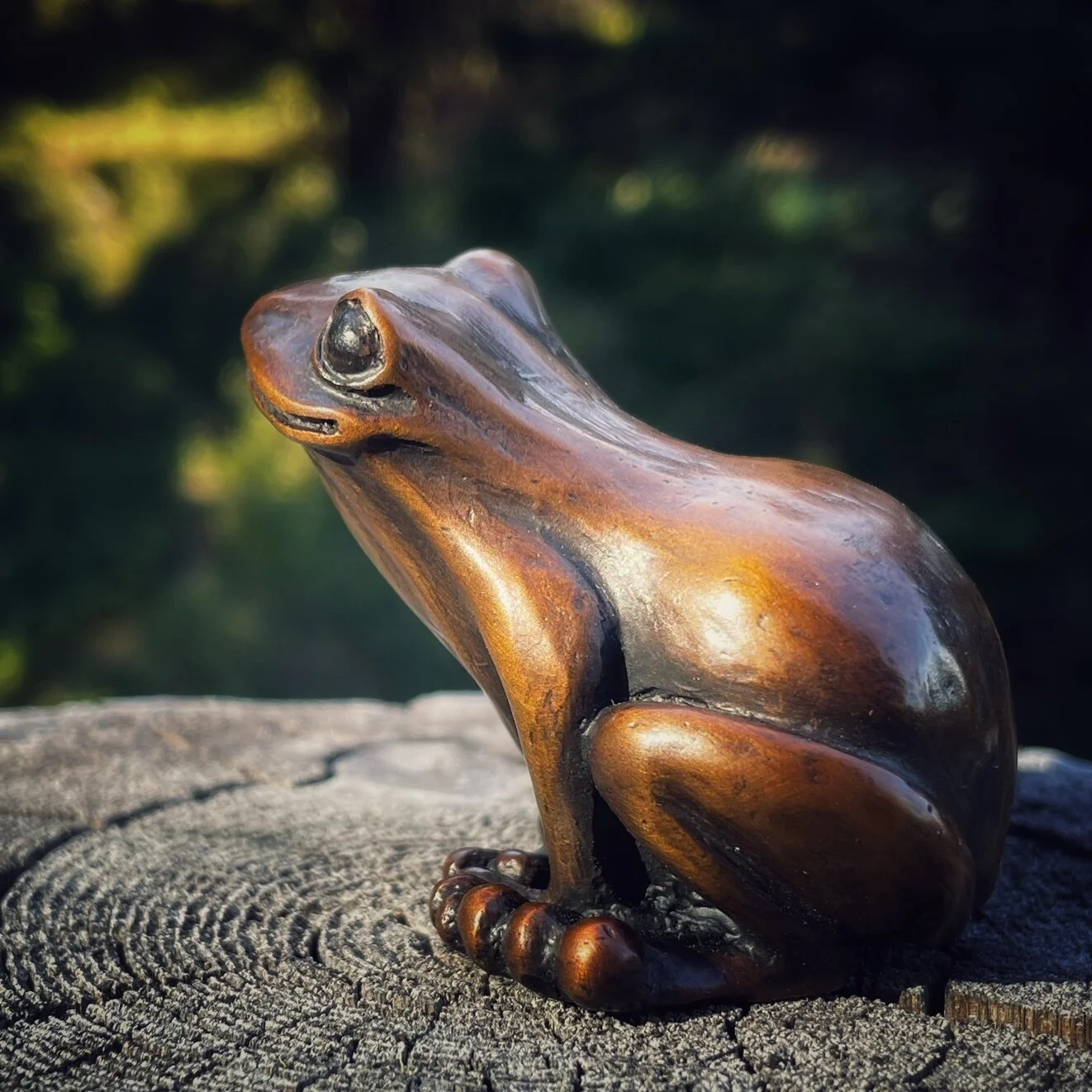 Frog 6.jpg
