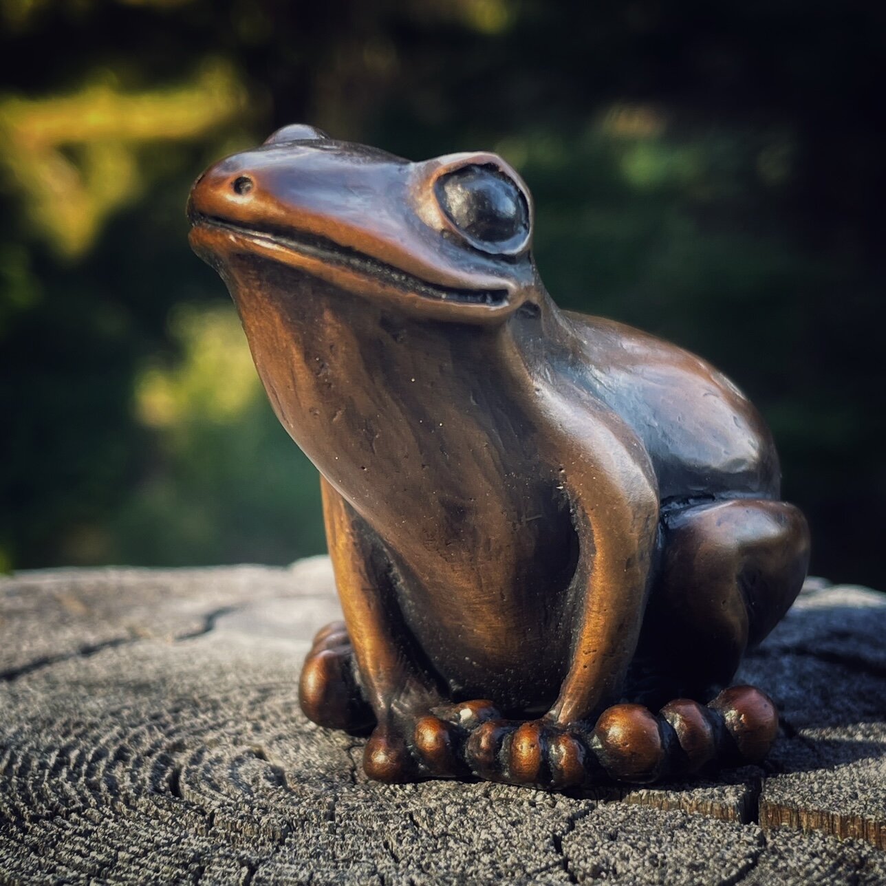 Frog 7.jpg