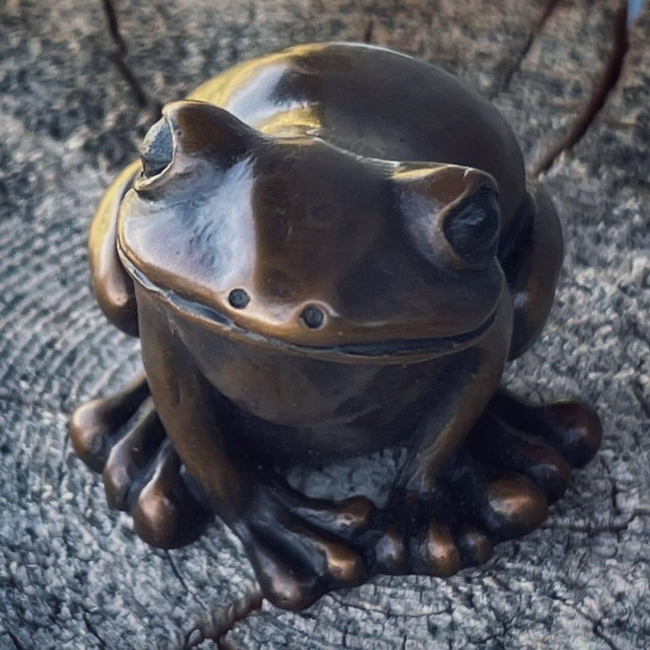 Frog 8.jpg