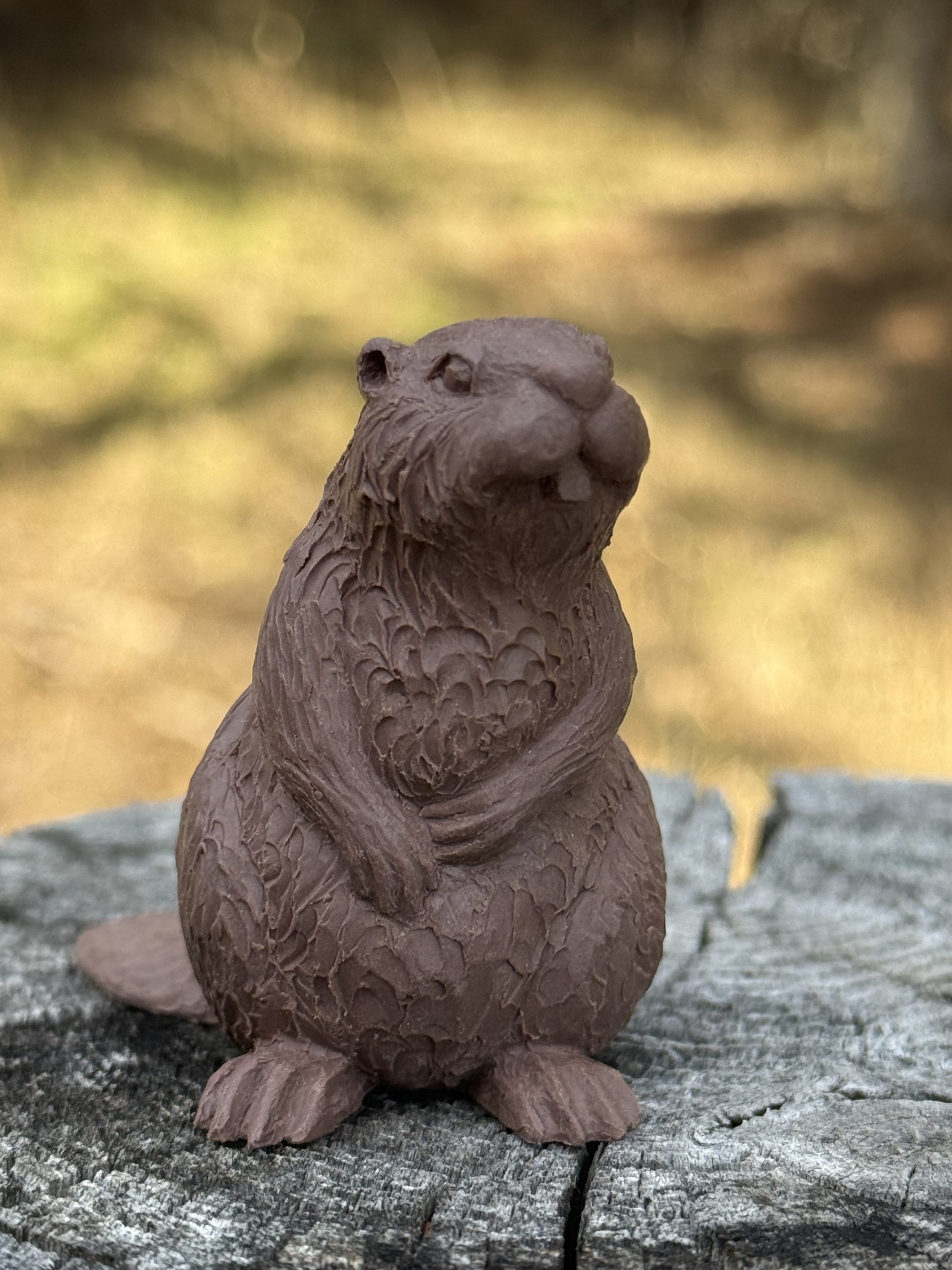 Beaver clay.jpeg