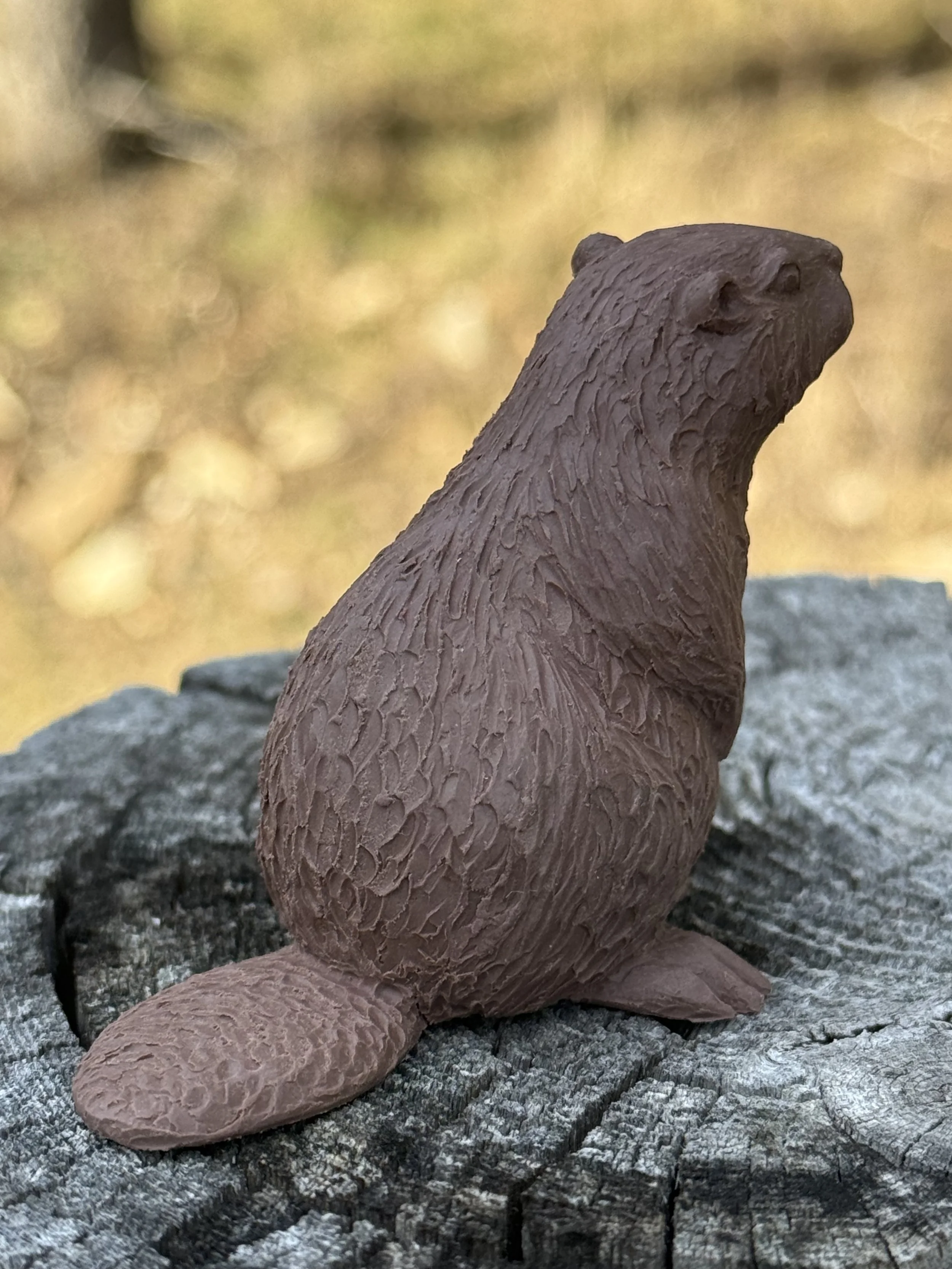 Beaver Clay 2.jpeg