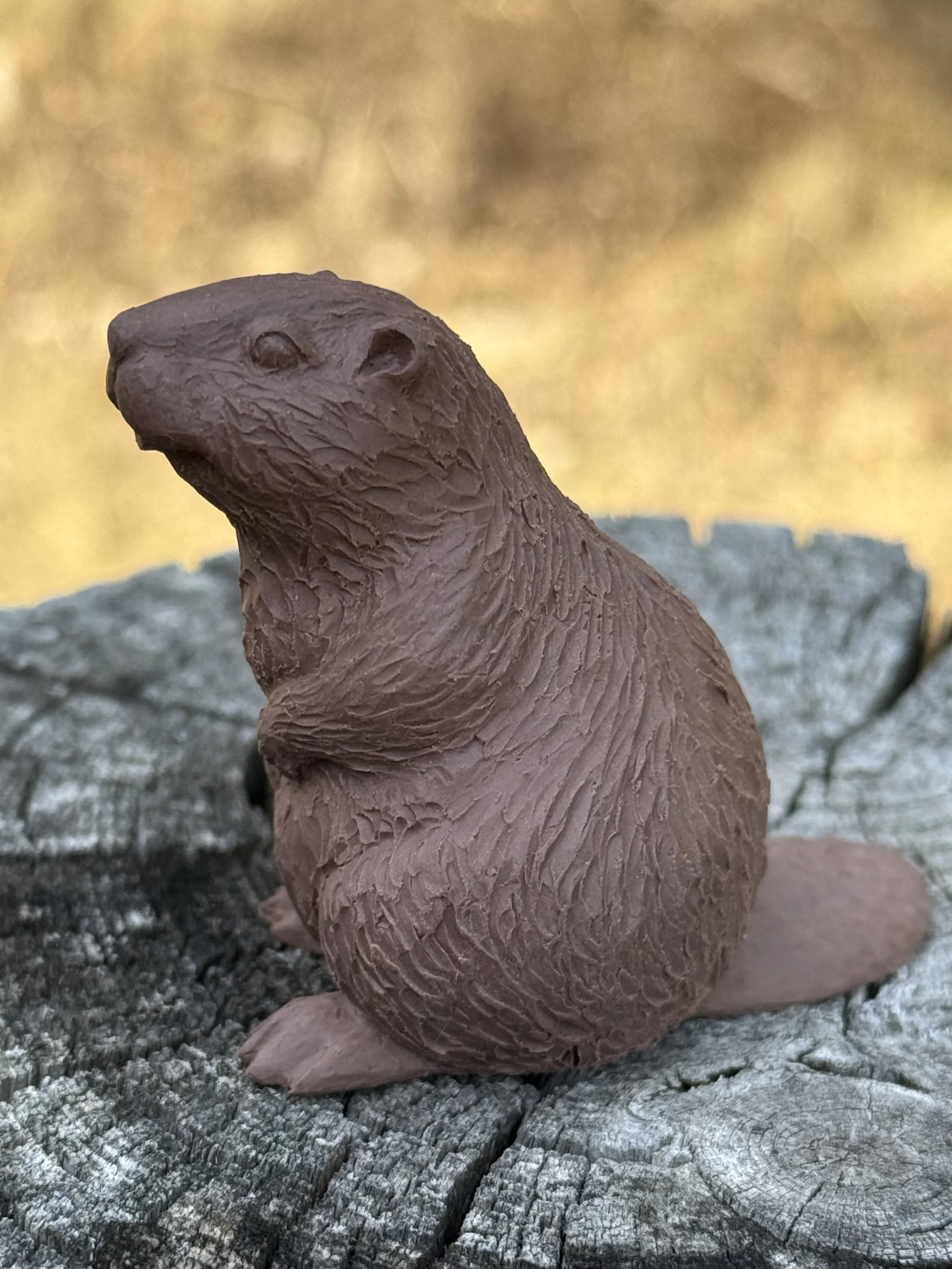 Beaver Clay 3.jpeg