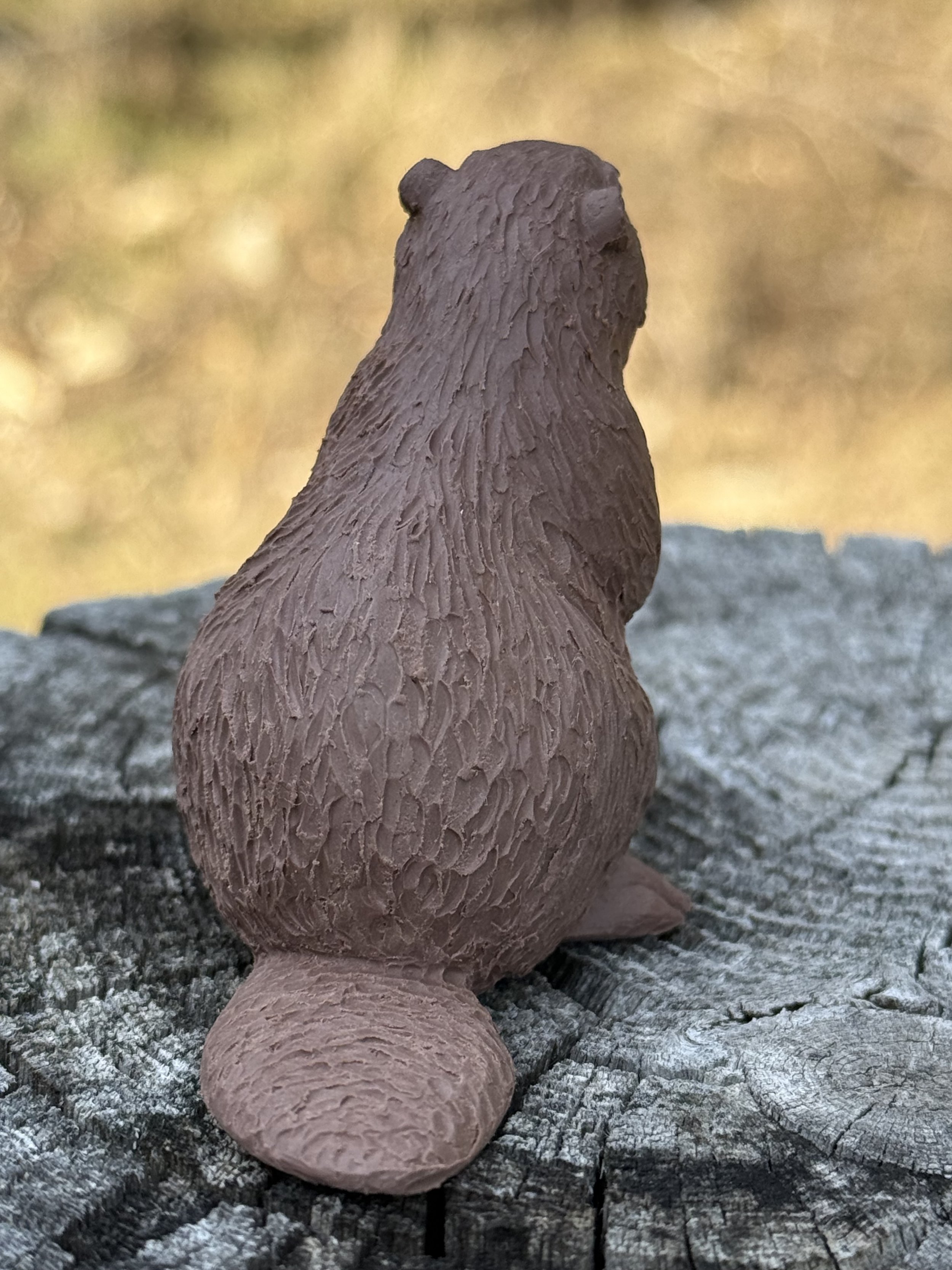 Beaver Clay 4.jpeg