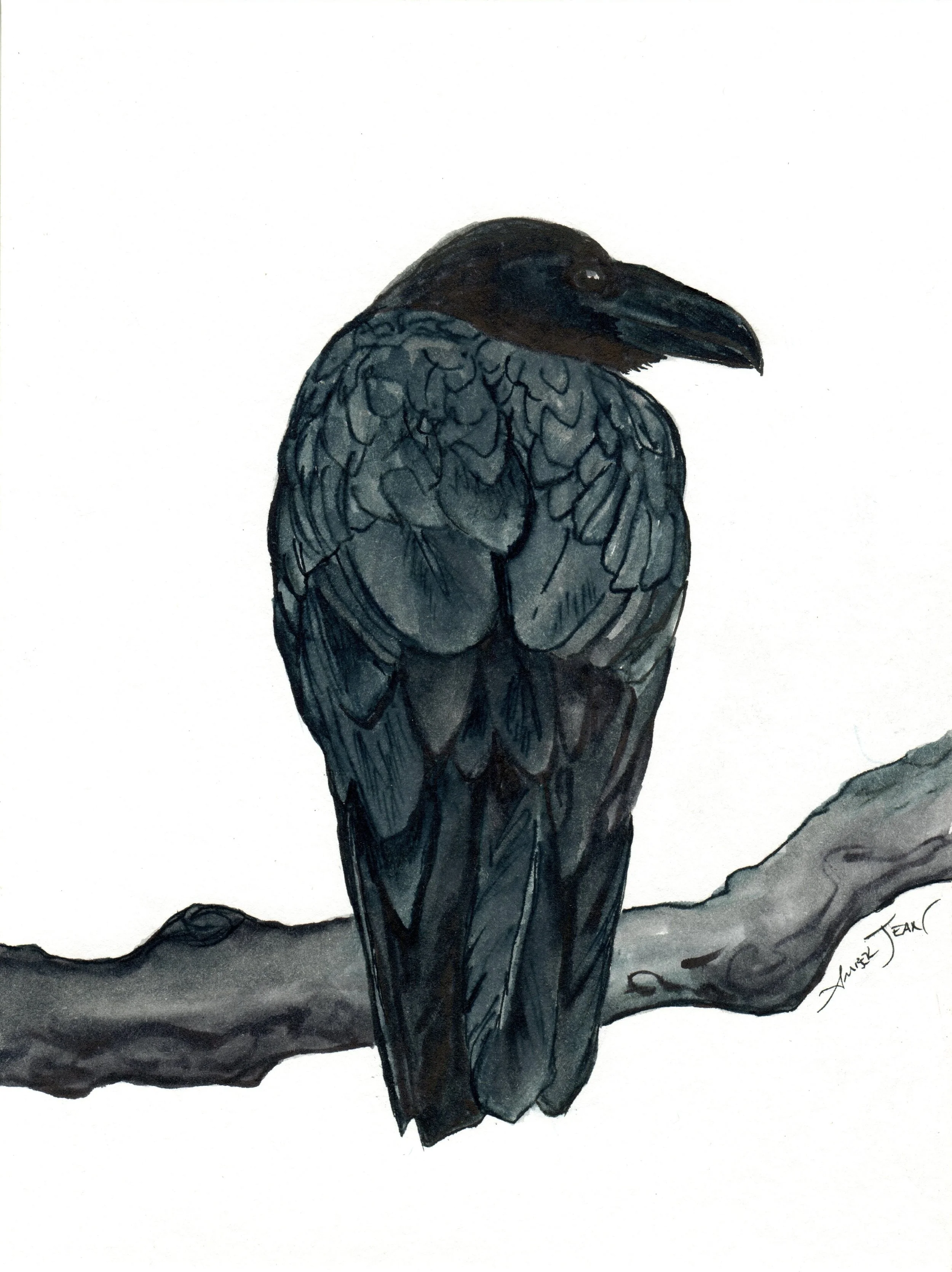 INKtober_2026_11_Raven_web.jpg