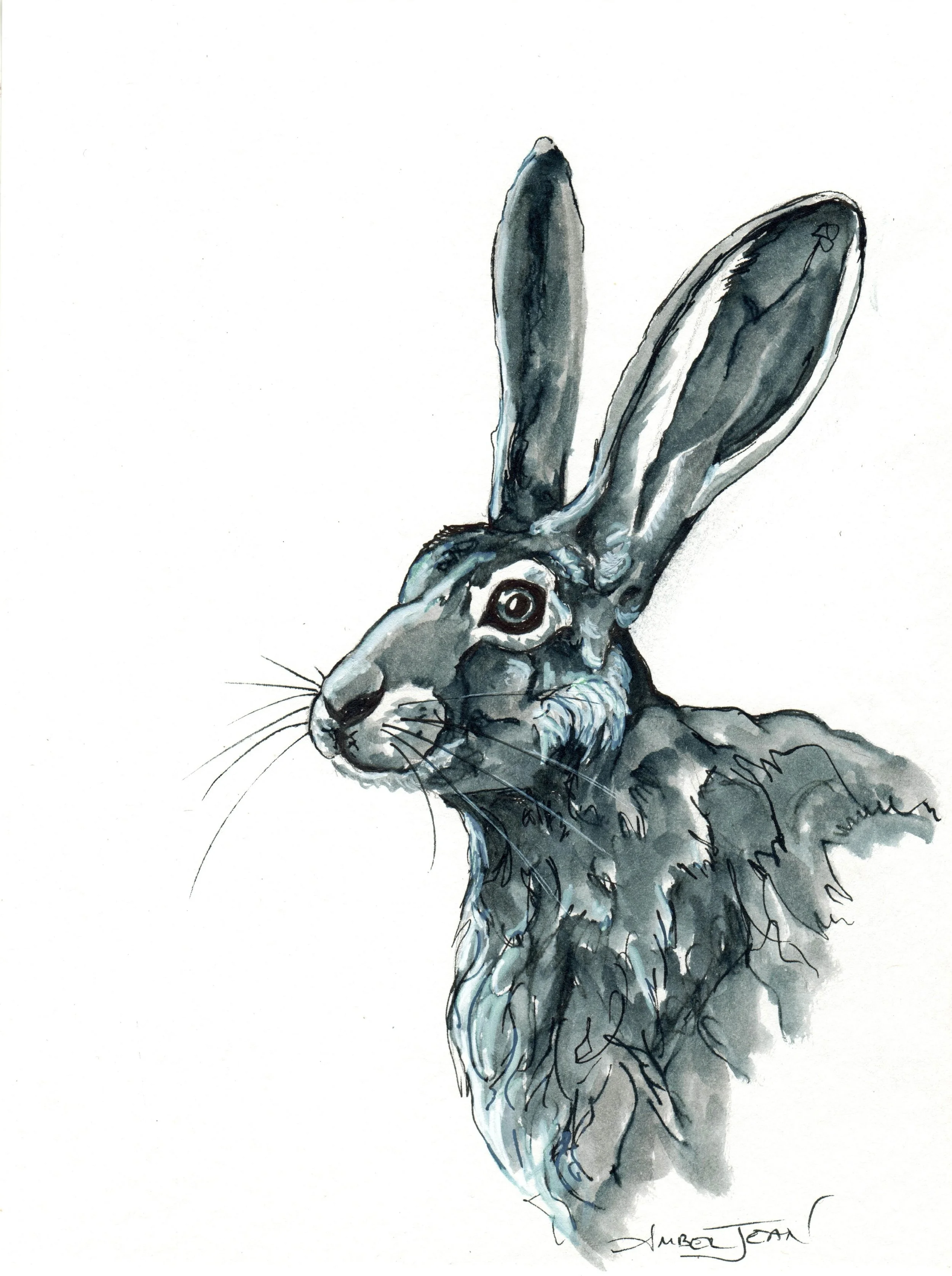 INKtober_2026_17_Hare_web.jpg