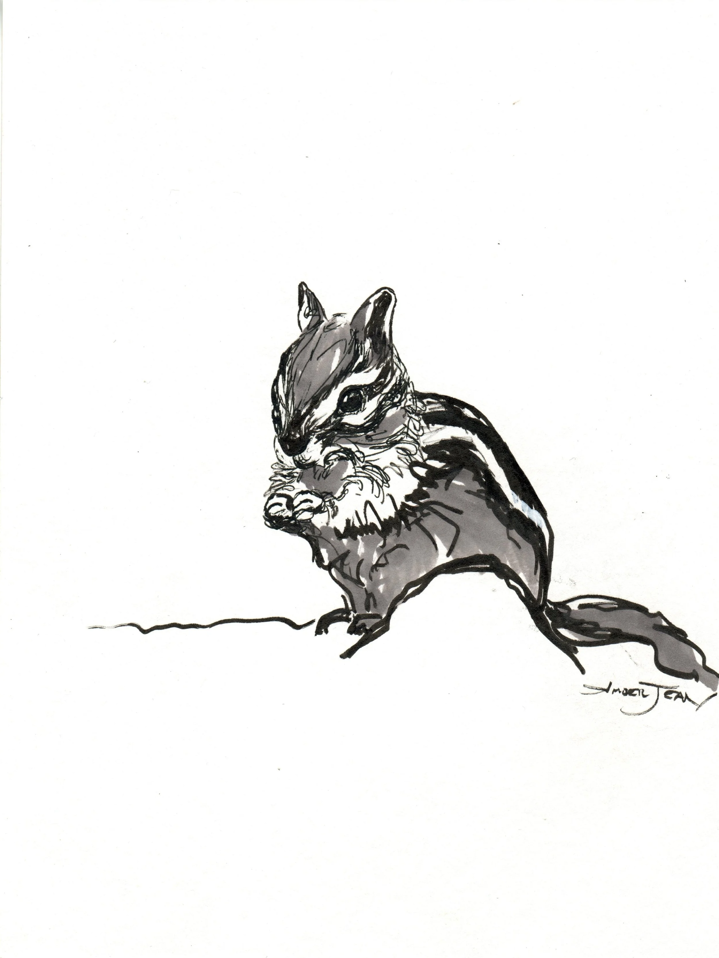 INKtober_2026_10_Chipmunk_web.jpg