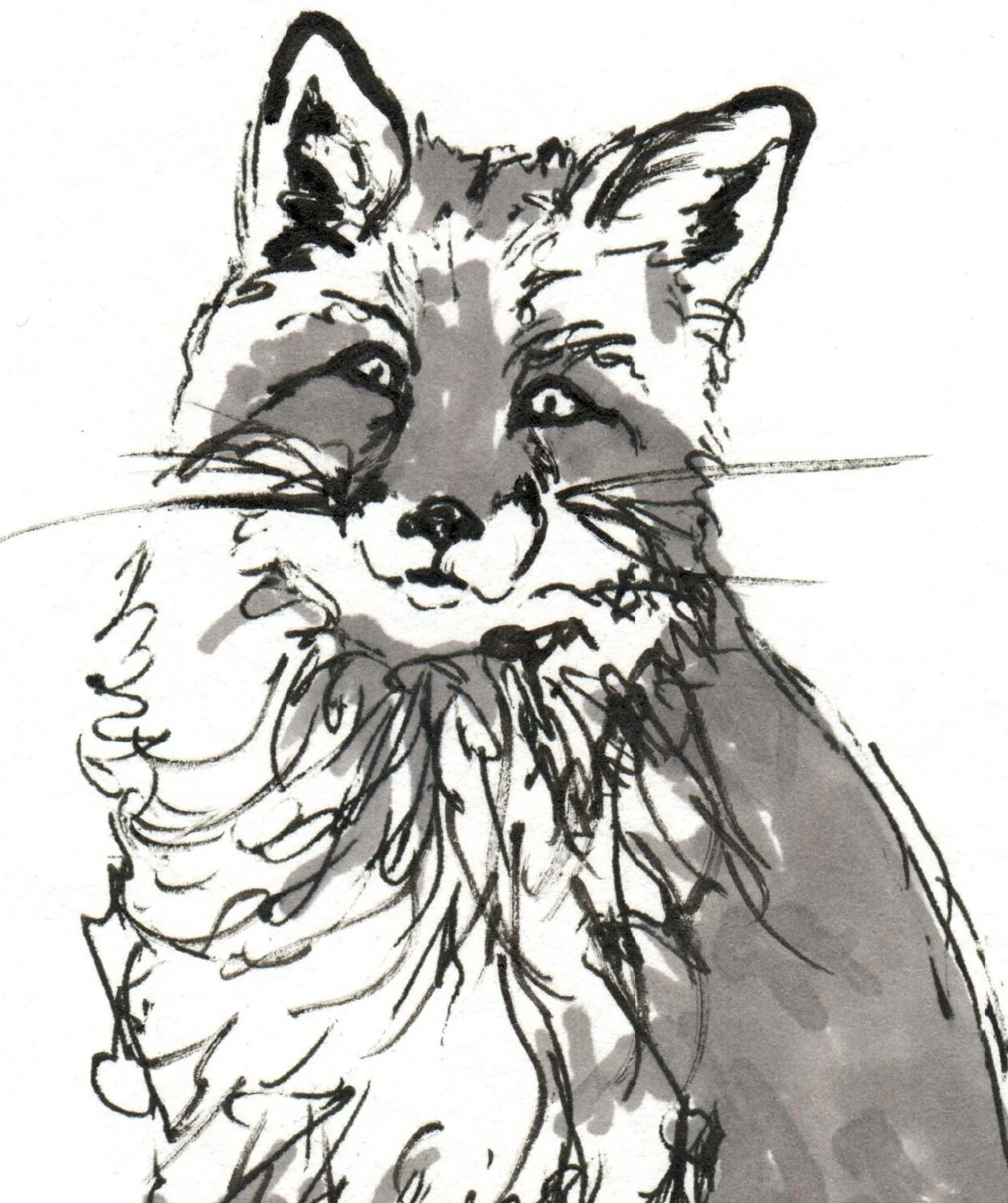 INKtober_2026_08_Fox_detail.jpg