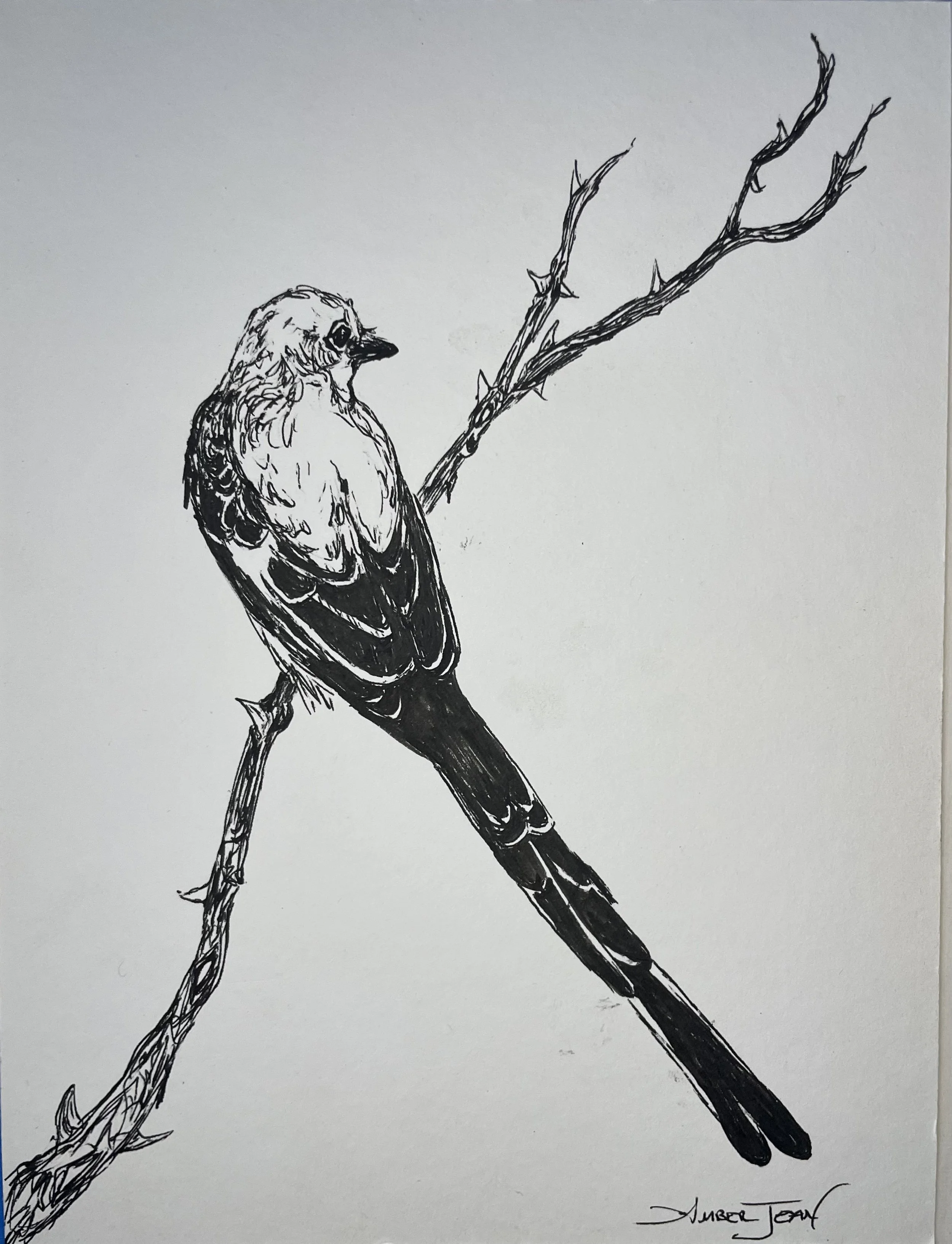 INKtober #1.jpeg