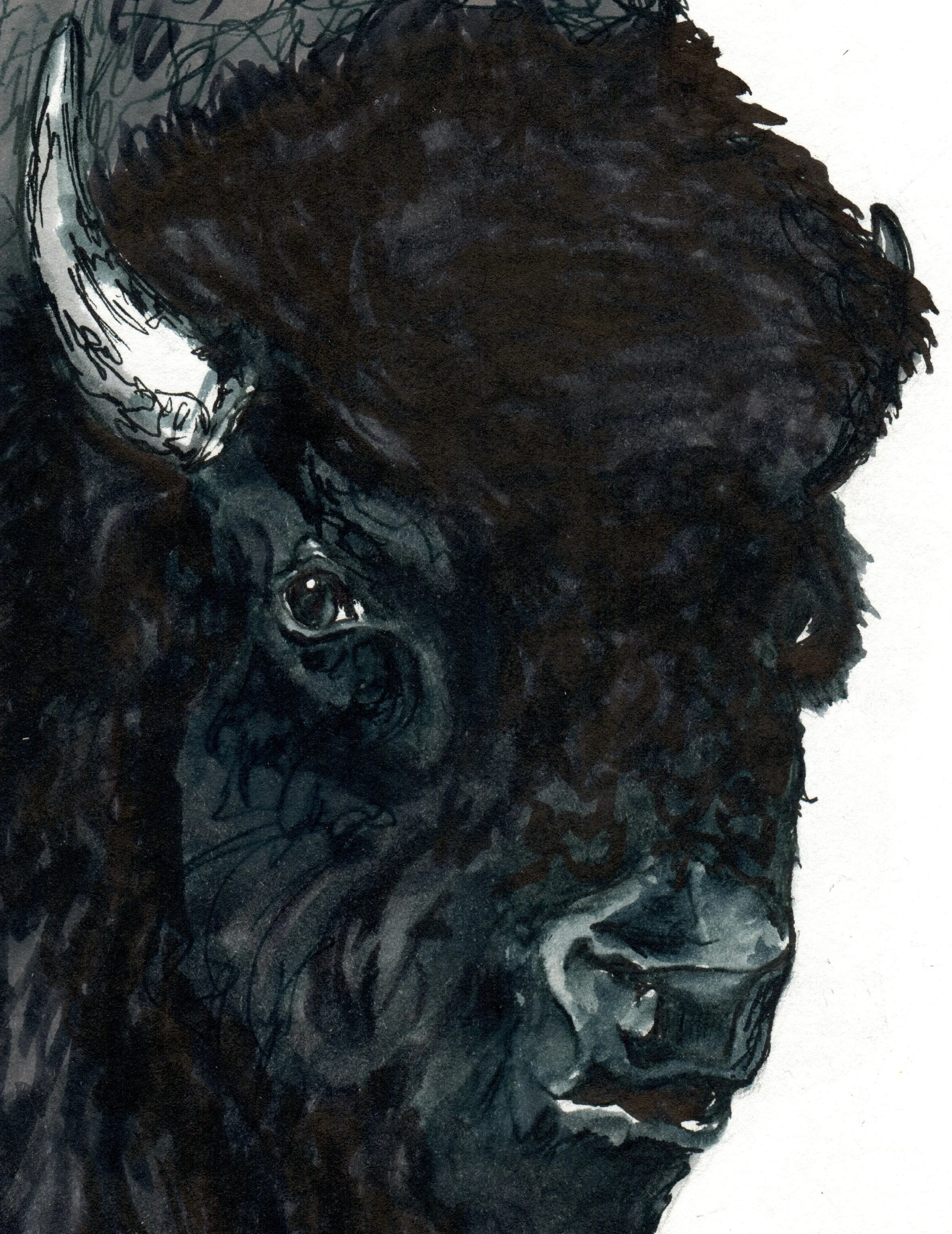INKtober_2026_24_Buffalo_web_detail.jpg