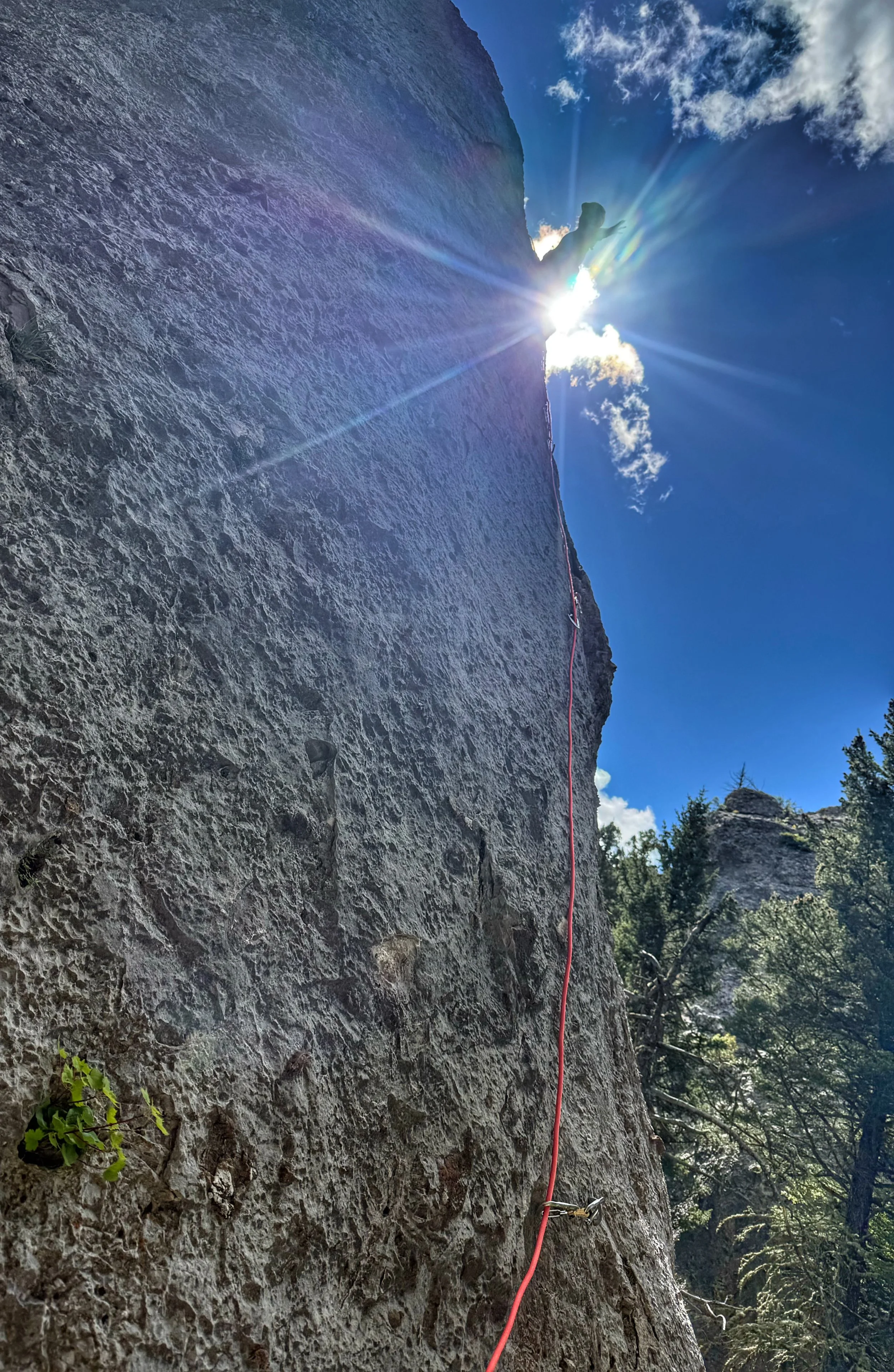 Montana artist Amber Jean celebrating at the top of a limestone rock climb beneath a brilliant blue sky.