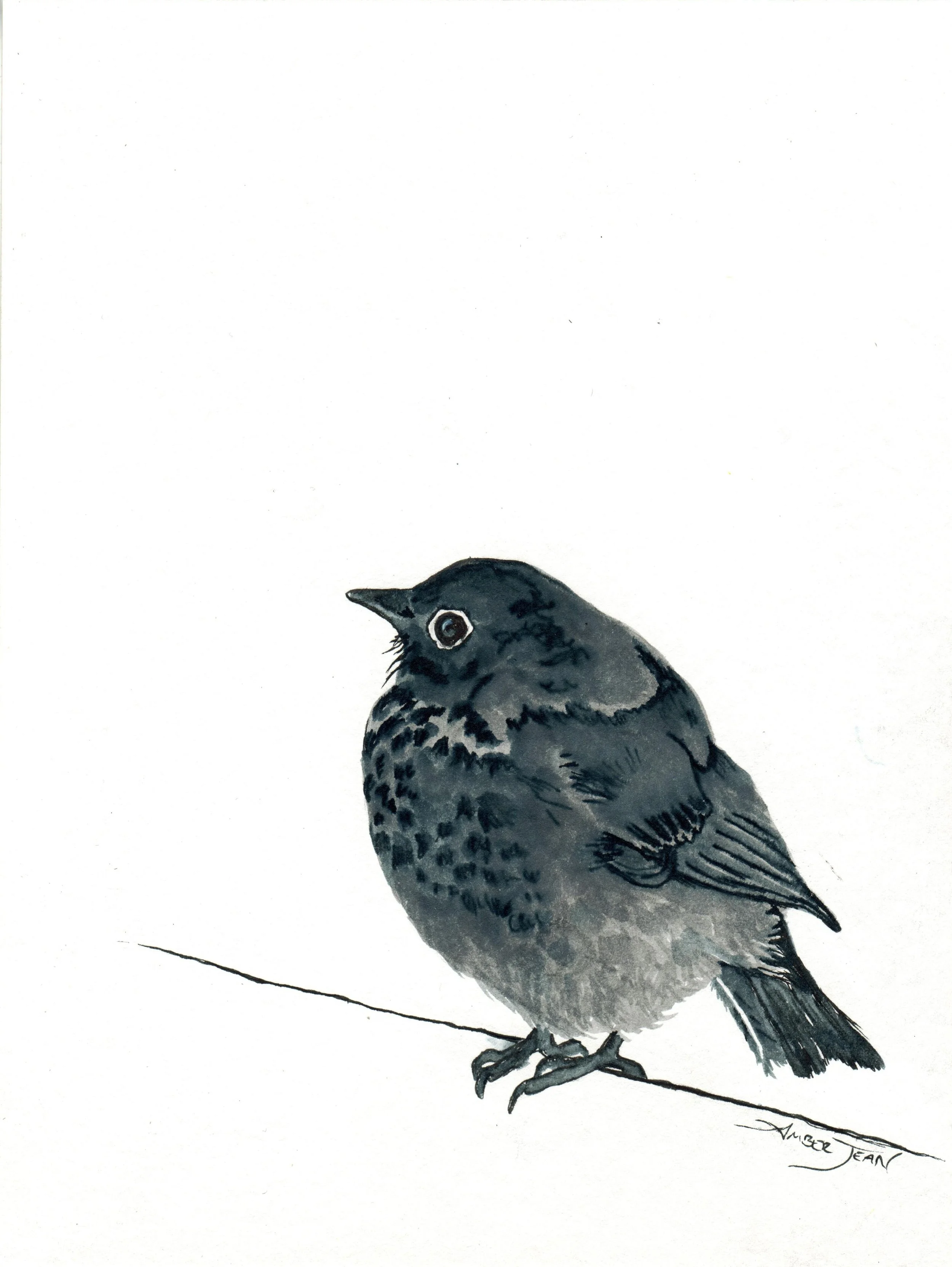 INKtober_2026_12_FuffyBird_web.jpg