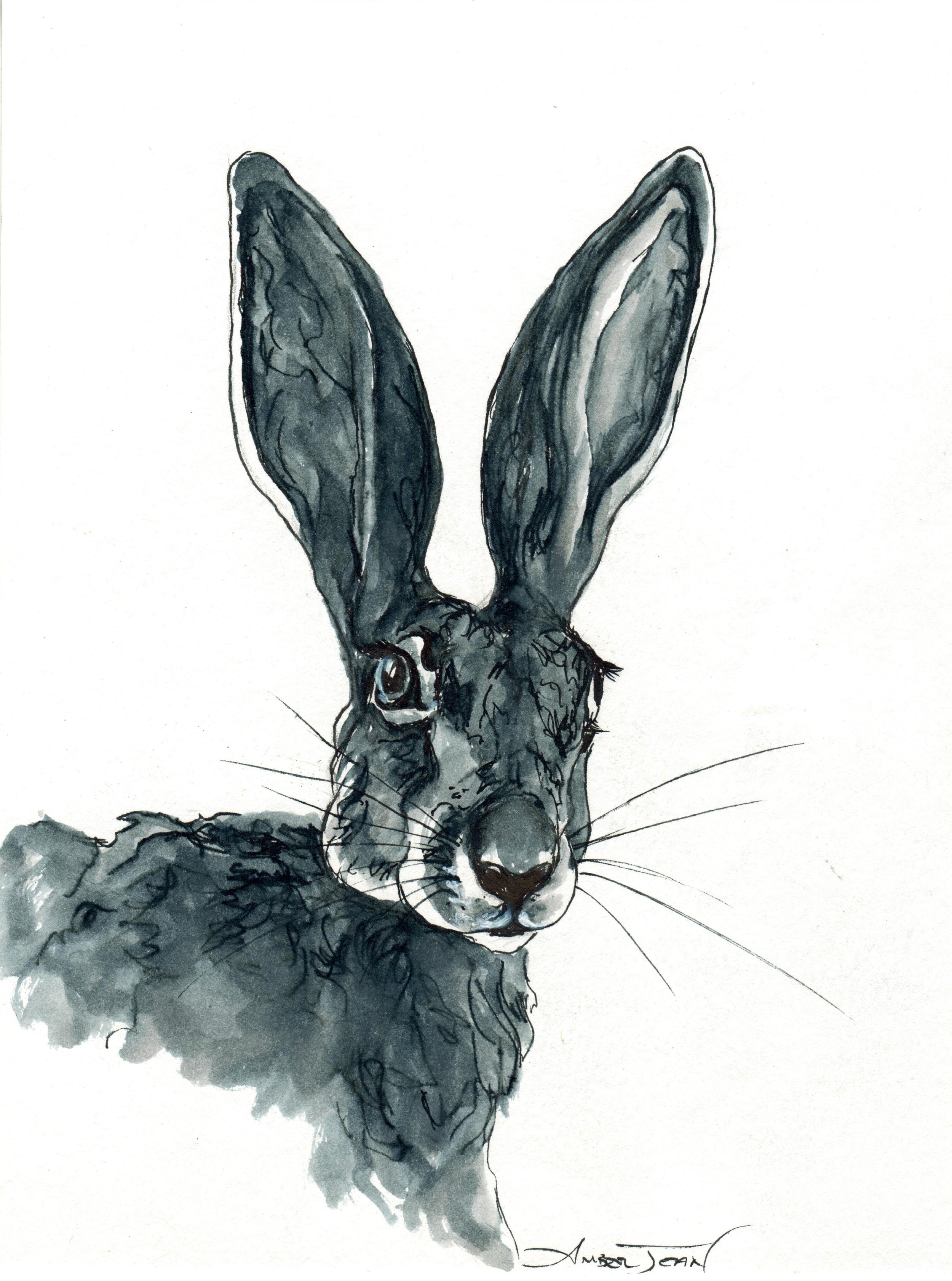 INKtober_2026_16_Hare_web.jpg