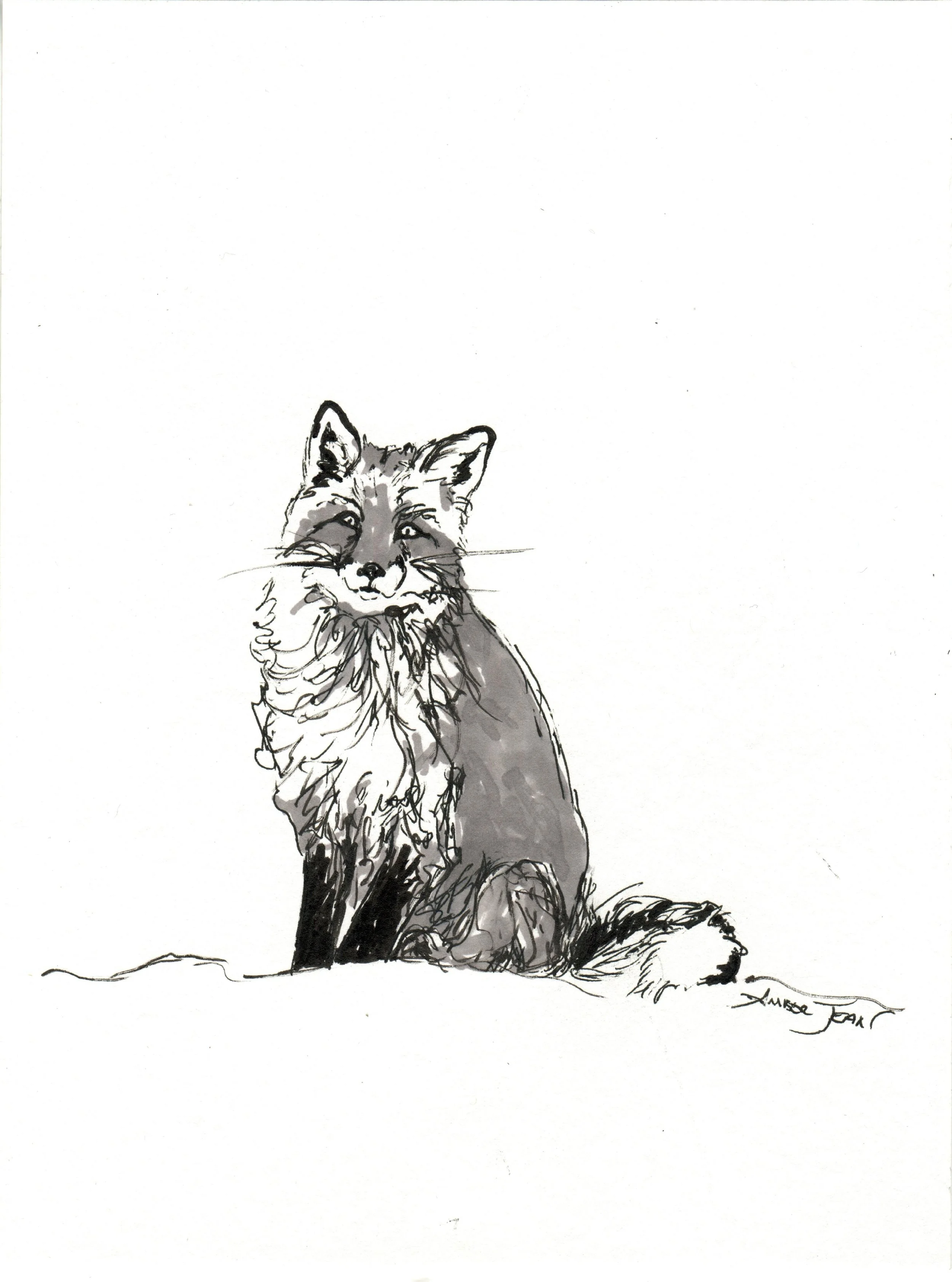 INKtober_2026_08_Fox_web.jpg