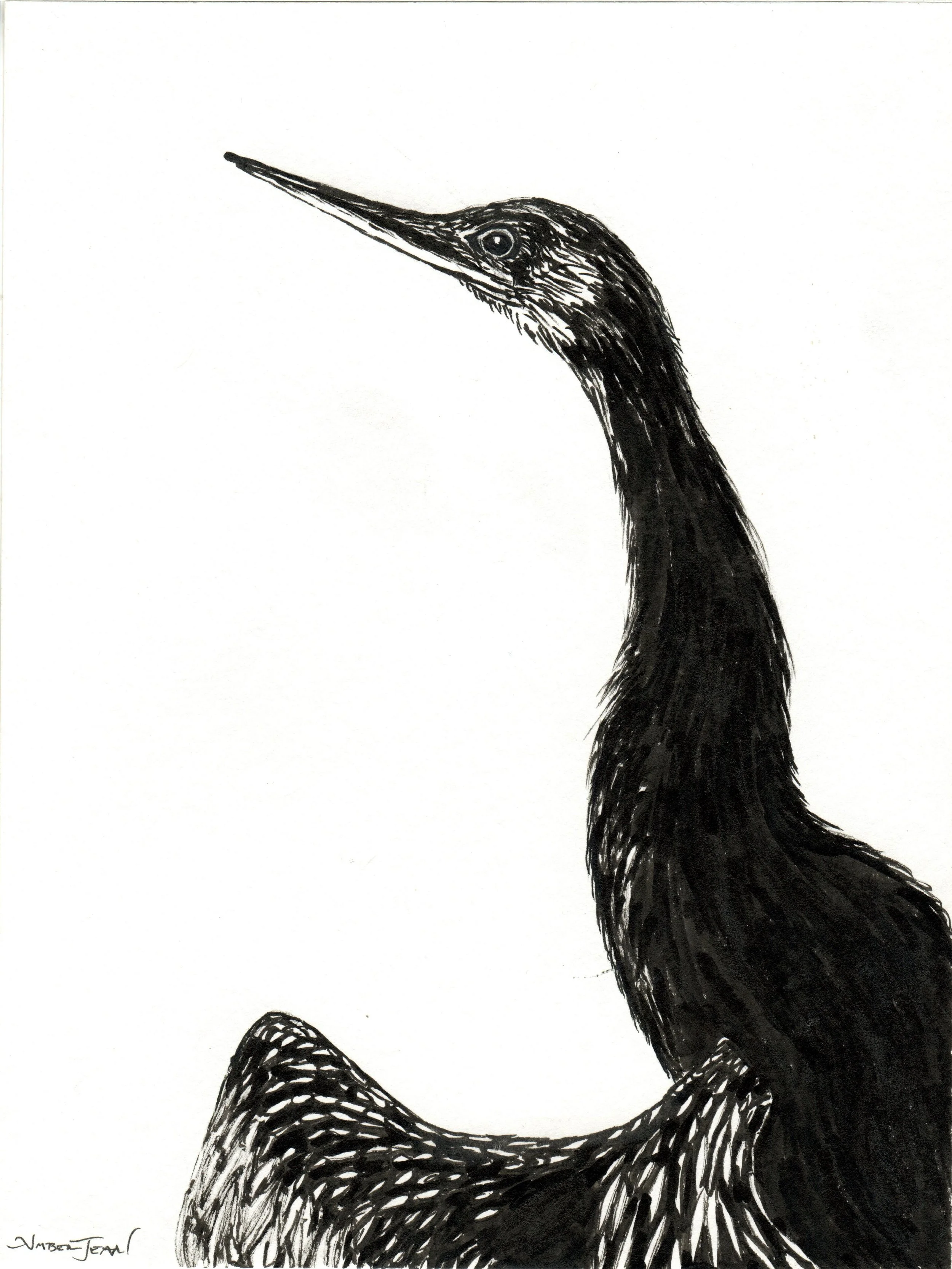 INKtober_2026_05_BirdLongNeck_web.jpg