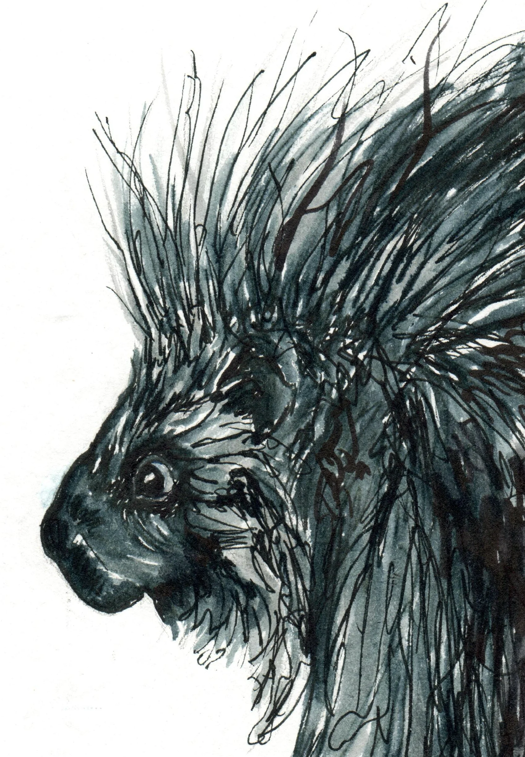 INKtober_2-26_20_porcupine_web_detail.jpg