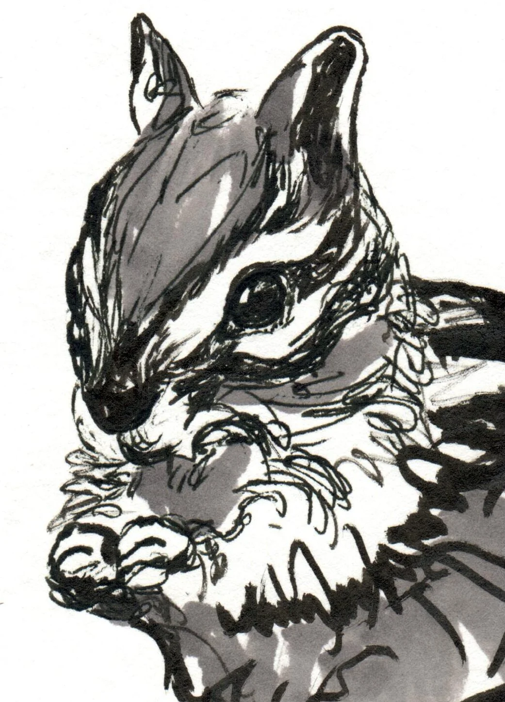 INKtober_2026_10_Chipmunk_detail.jpg