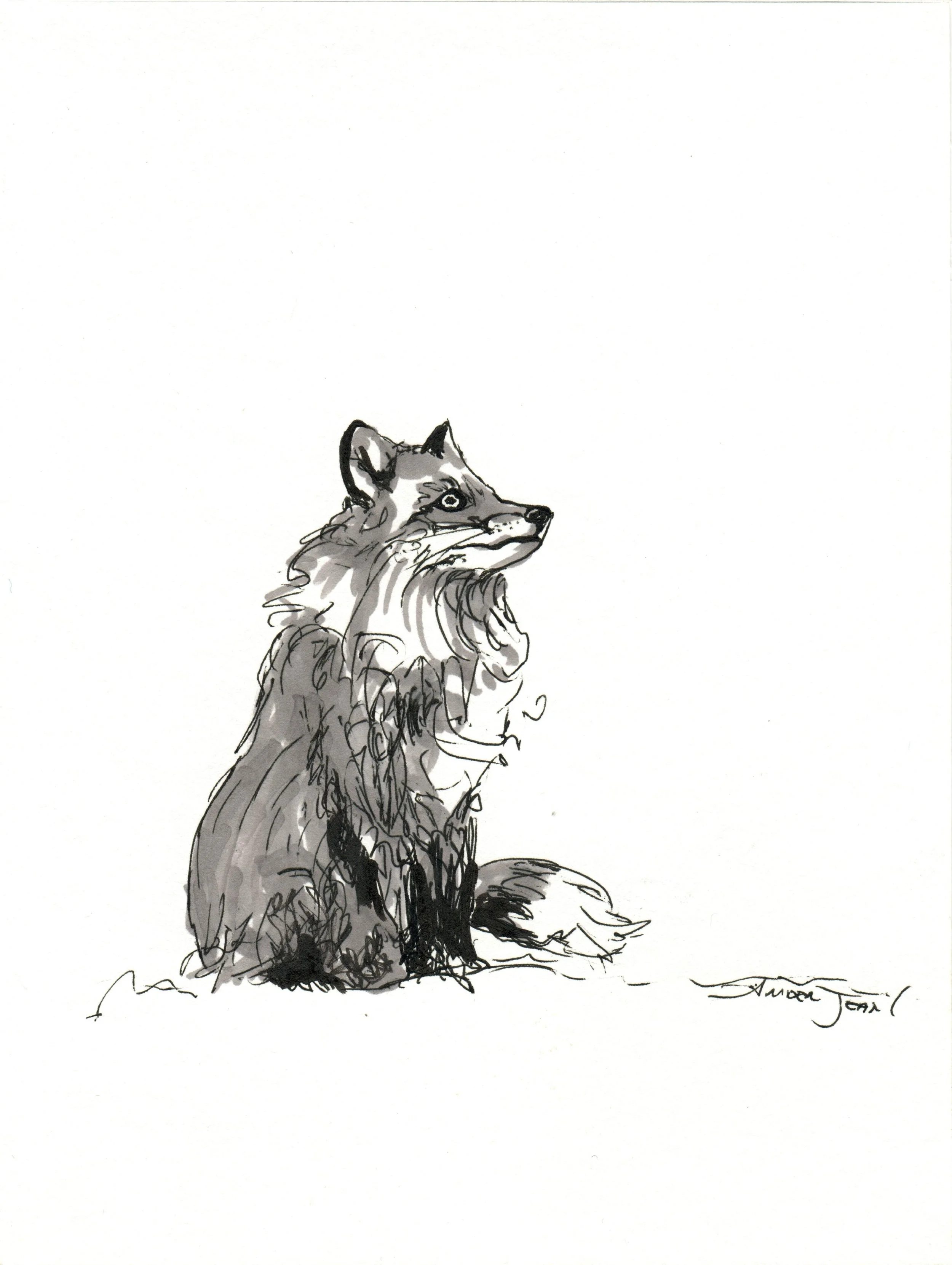 INKtober_2026_03_Fox_web.jpg