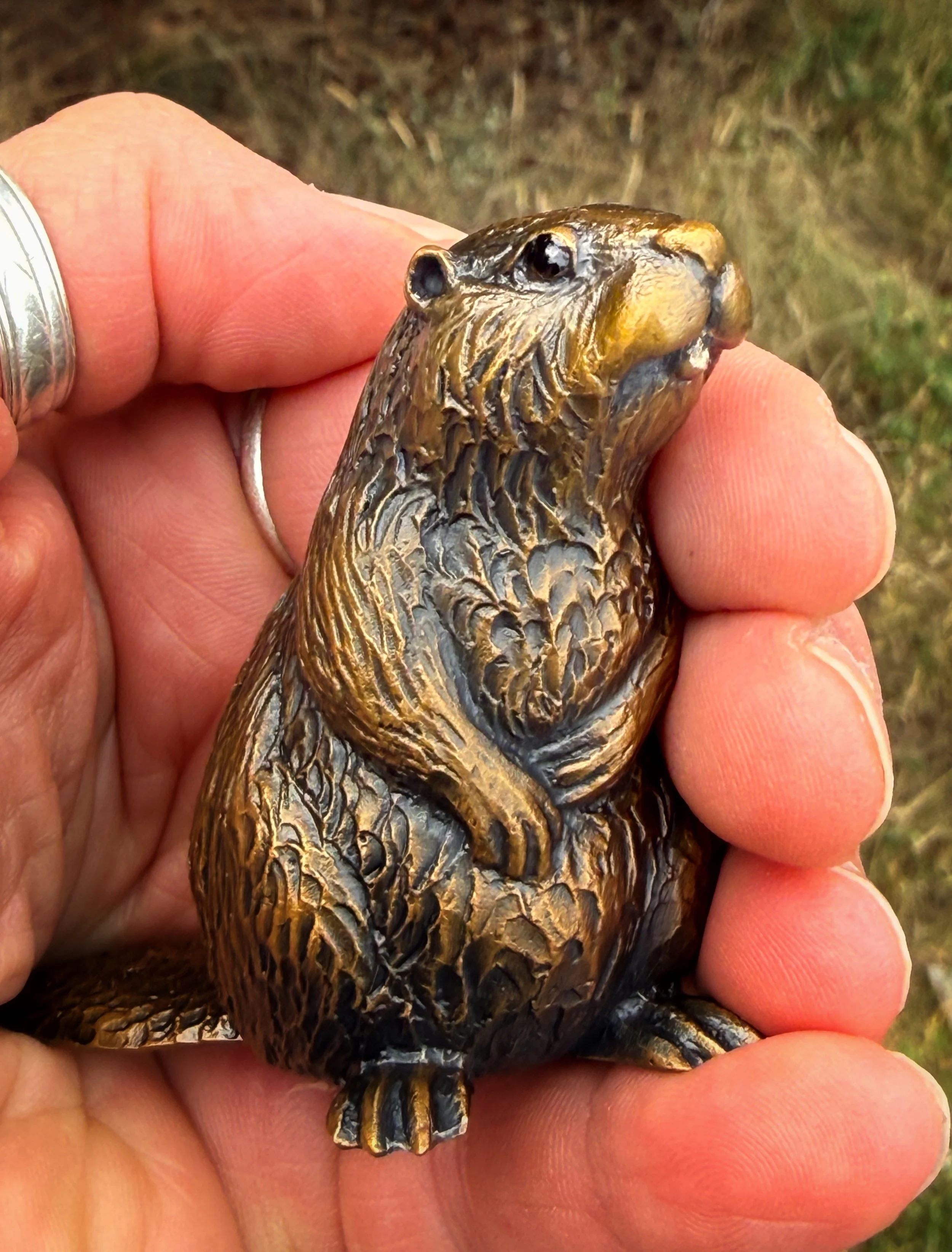 Beaver.JPG