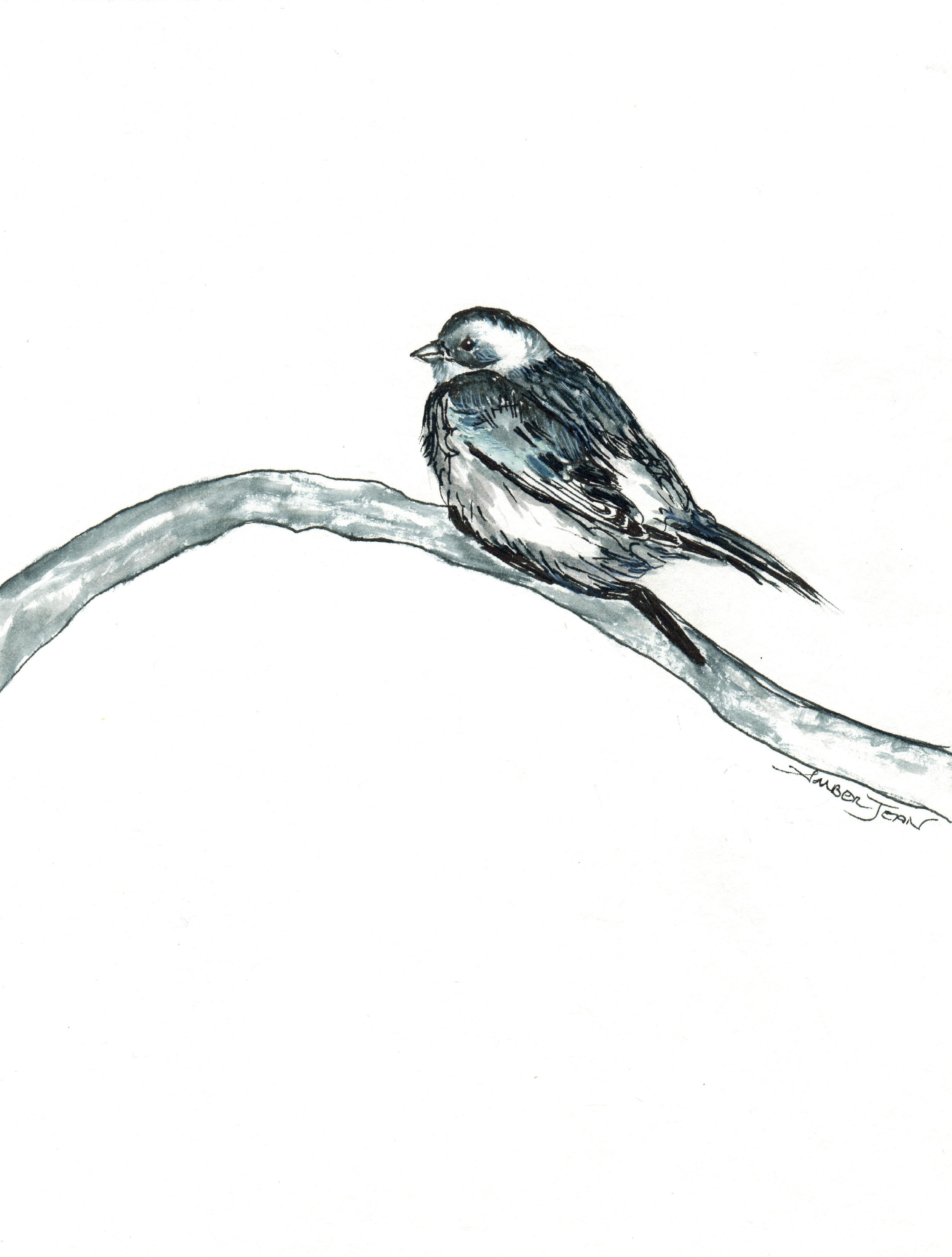 INKtober_2026_27_Bird_web.jpg