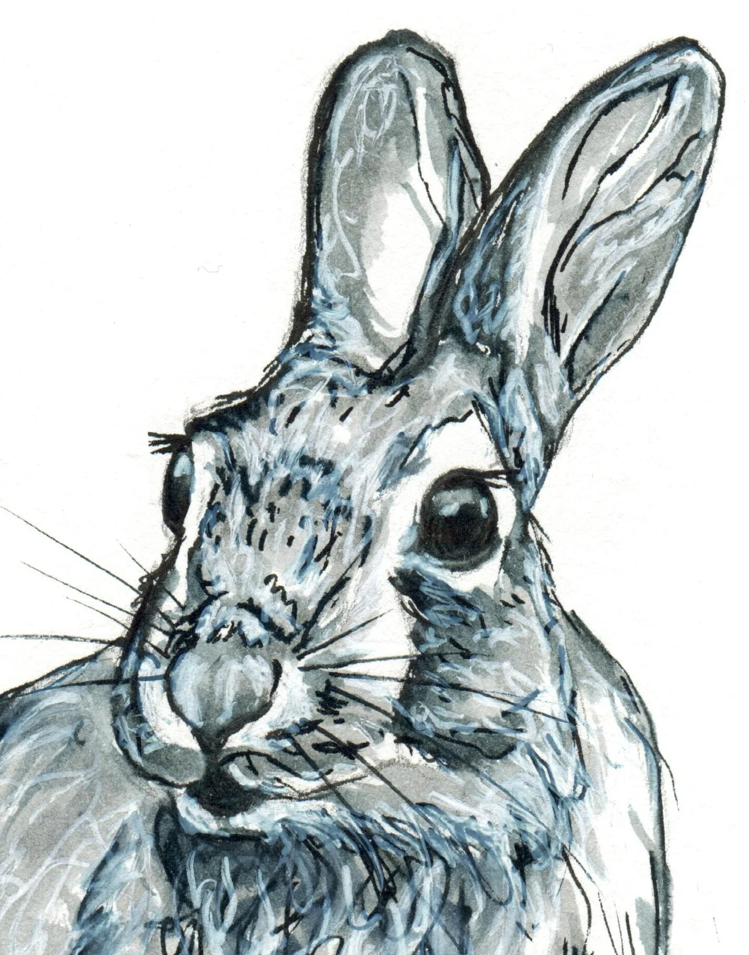 INKtober_2026_26_Rabbit_web_detail.jpg