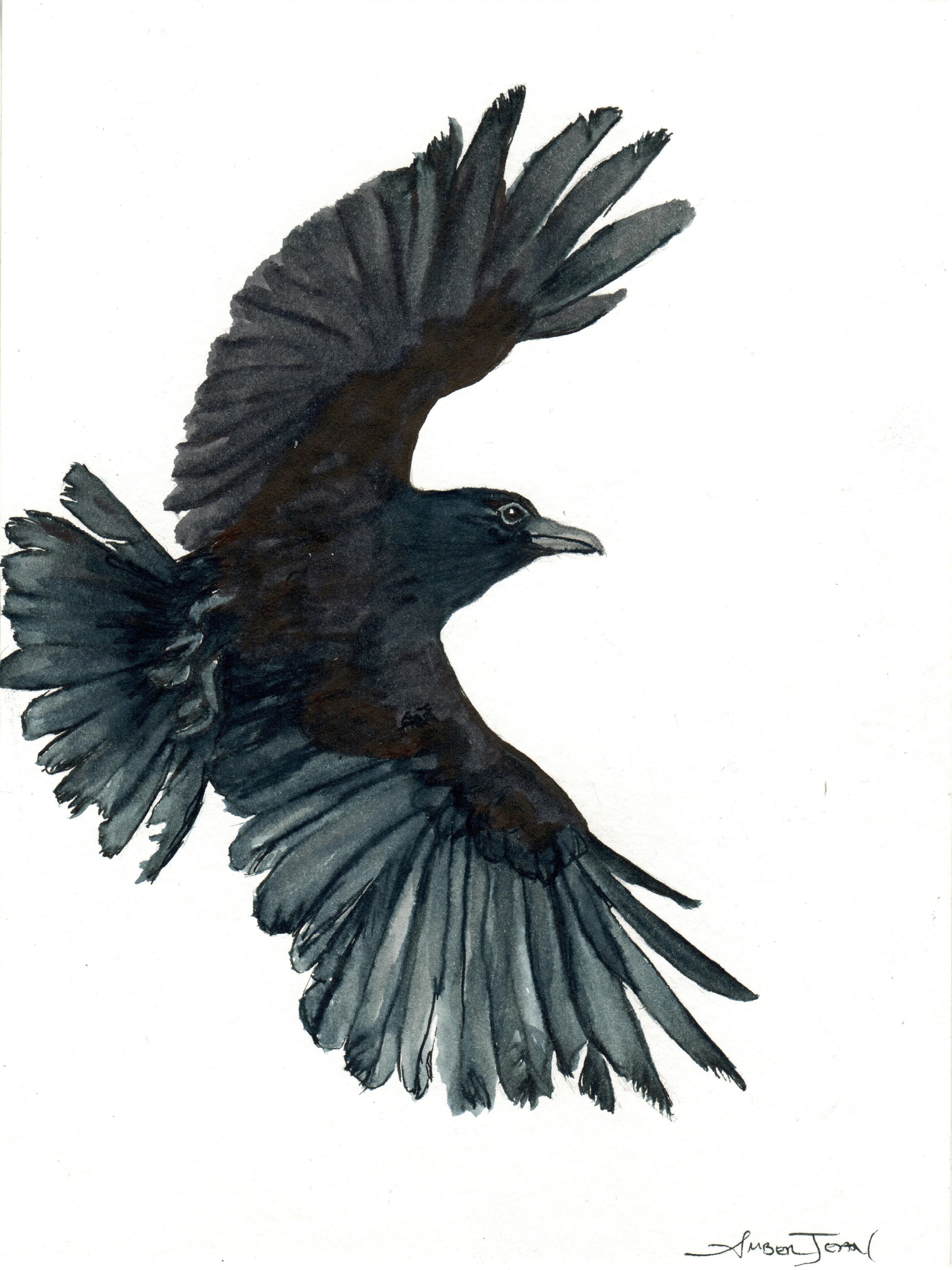 INKtober_2026_25_Crow_web.jpg