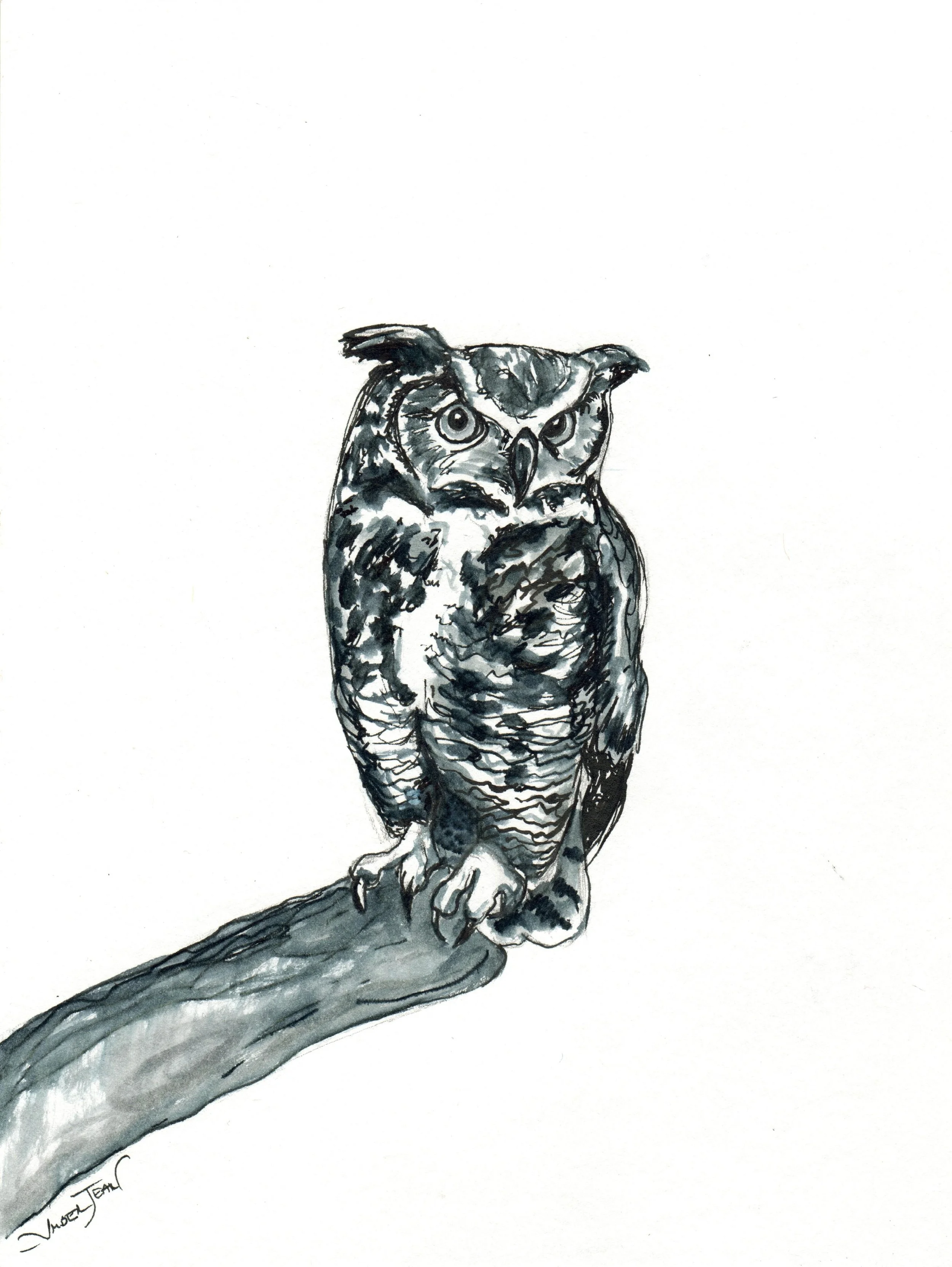 INKtober_2026_21_owl_web.jpg