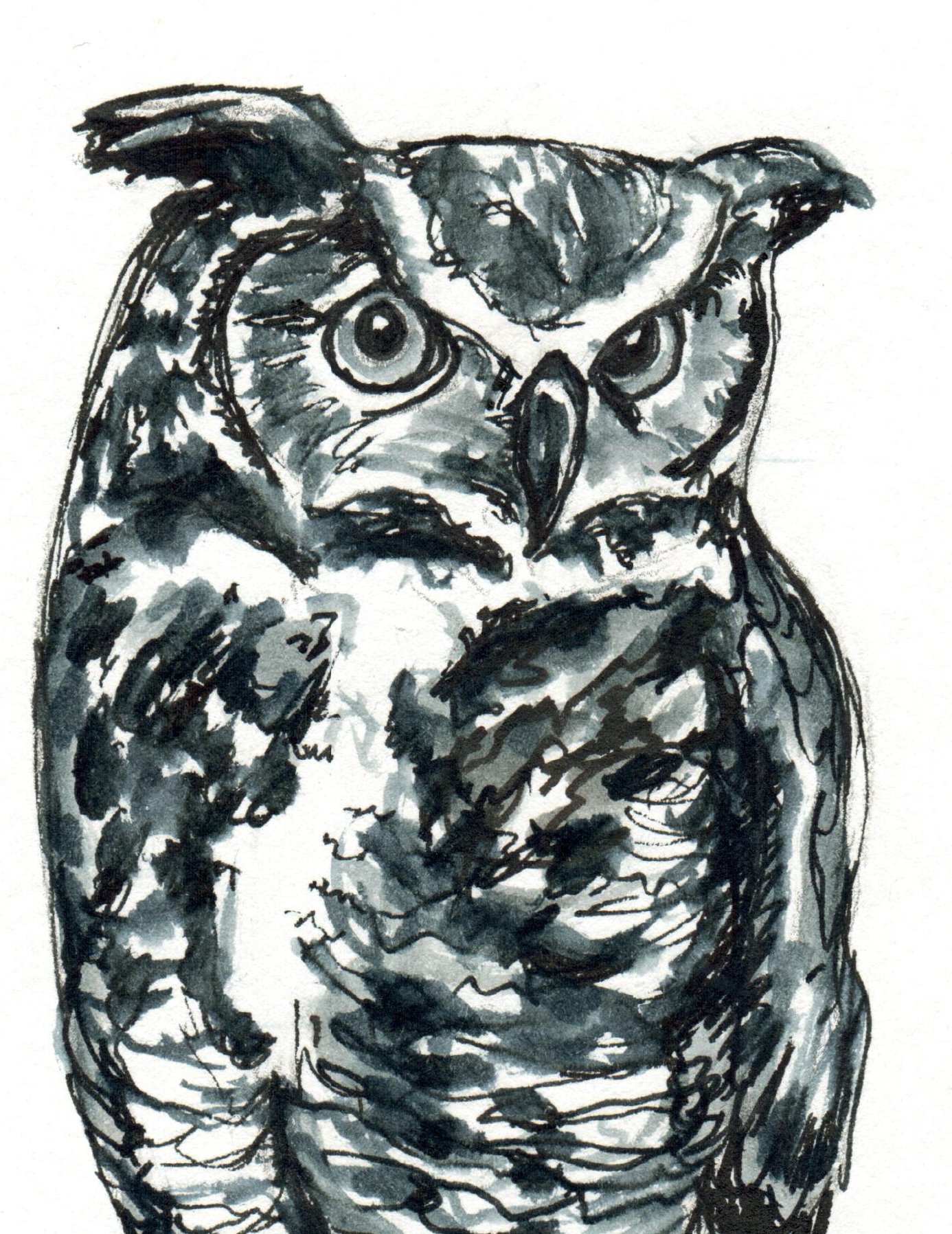 INKtober_2026_21_owl_web_detail.jpg