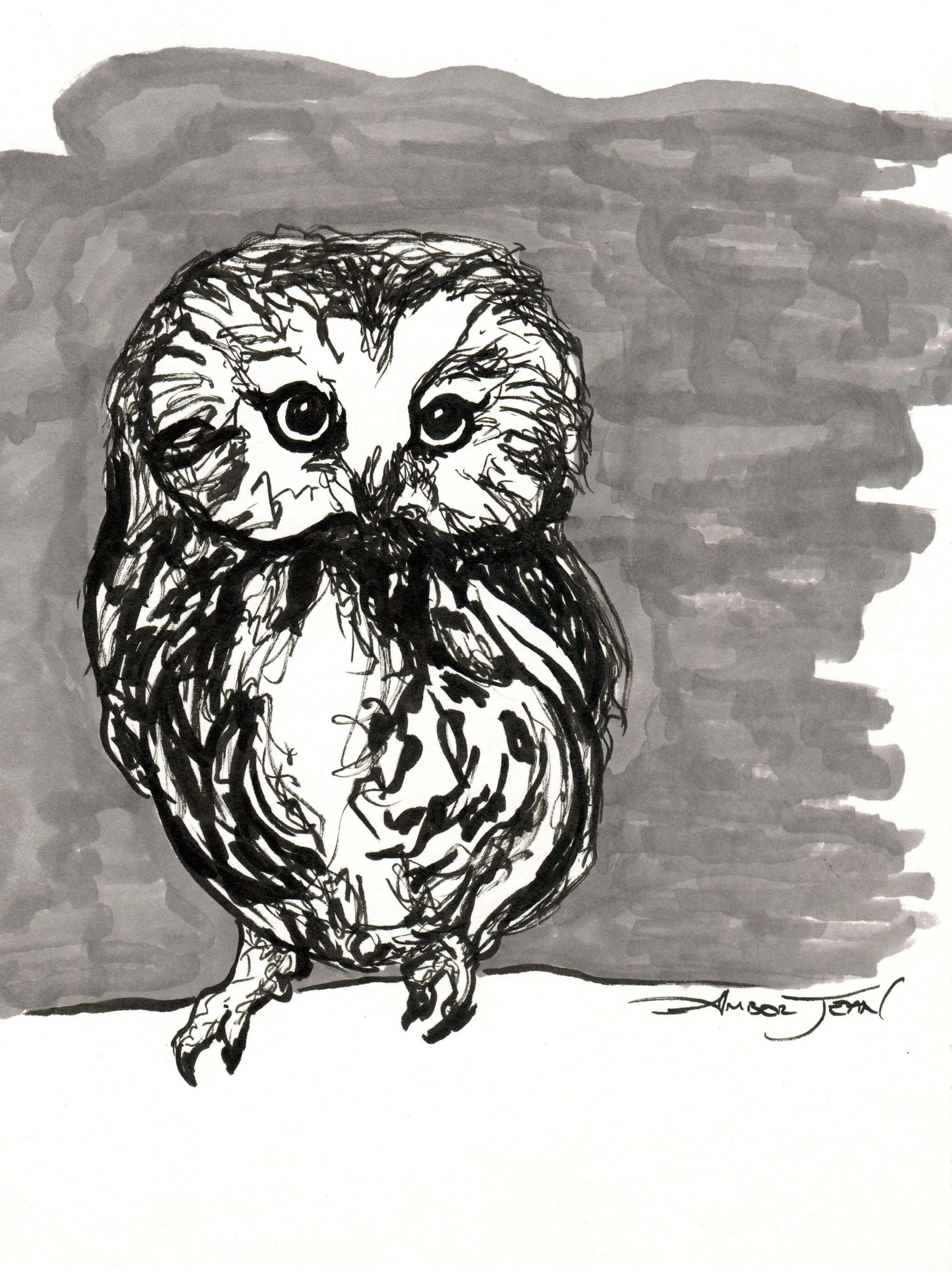 INKtober_2026_15_Owl3_web.jpg